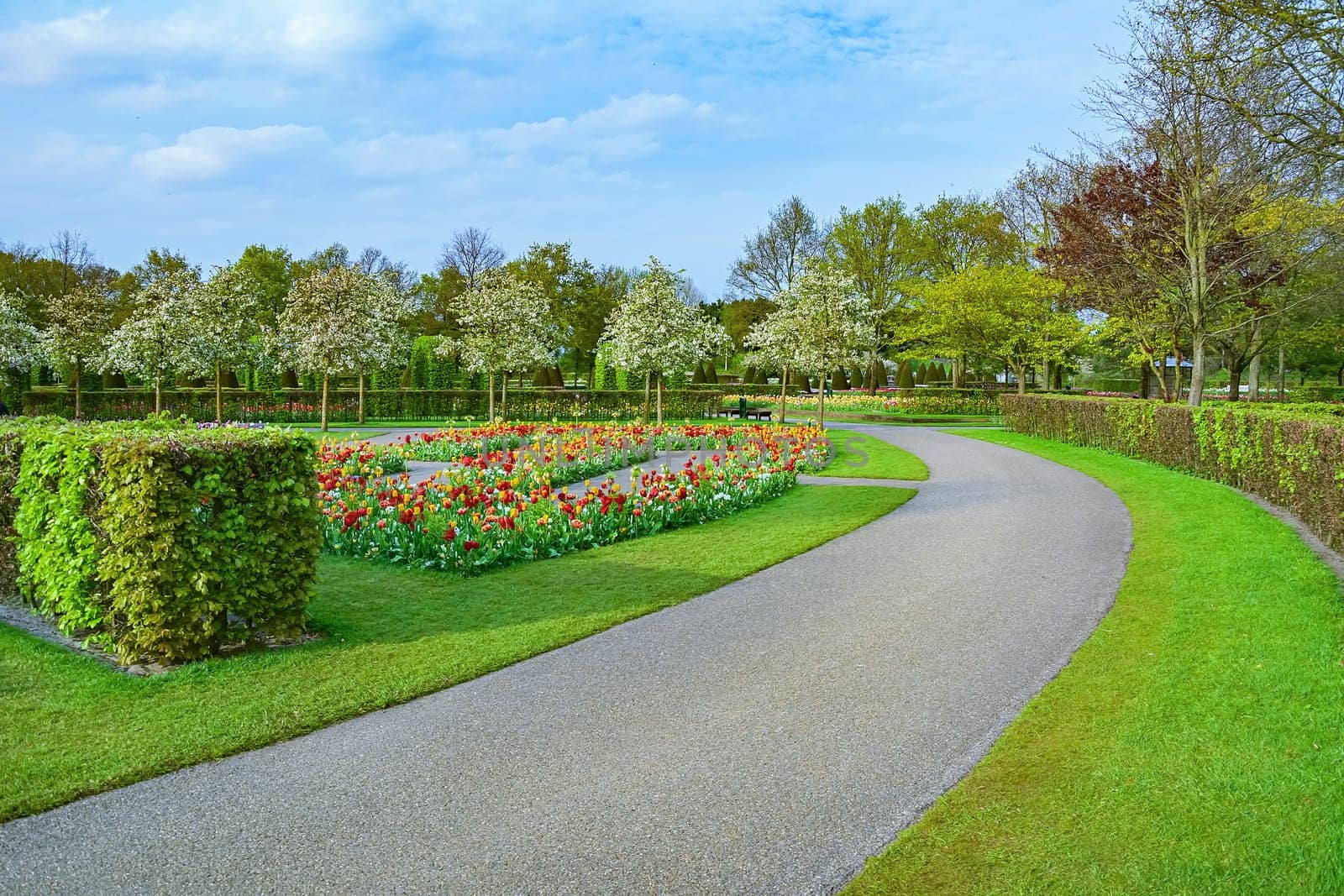 Spring in the park. Lisse, the Netherlands.