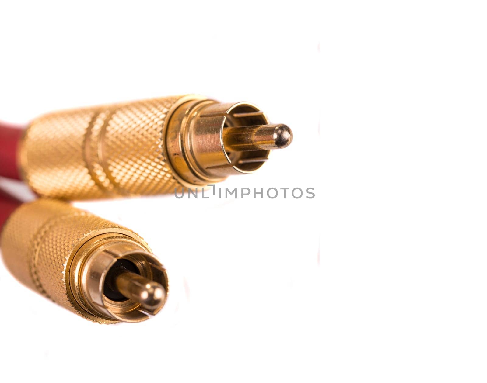 chinch connection - sound cable in closeup