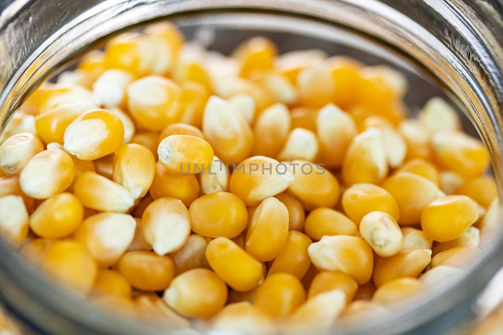 corn popcorn seed raw macro yellow