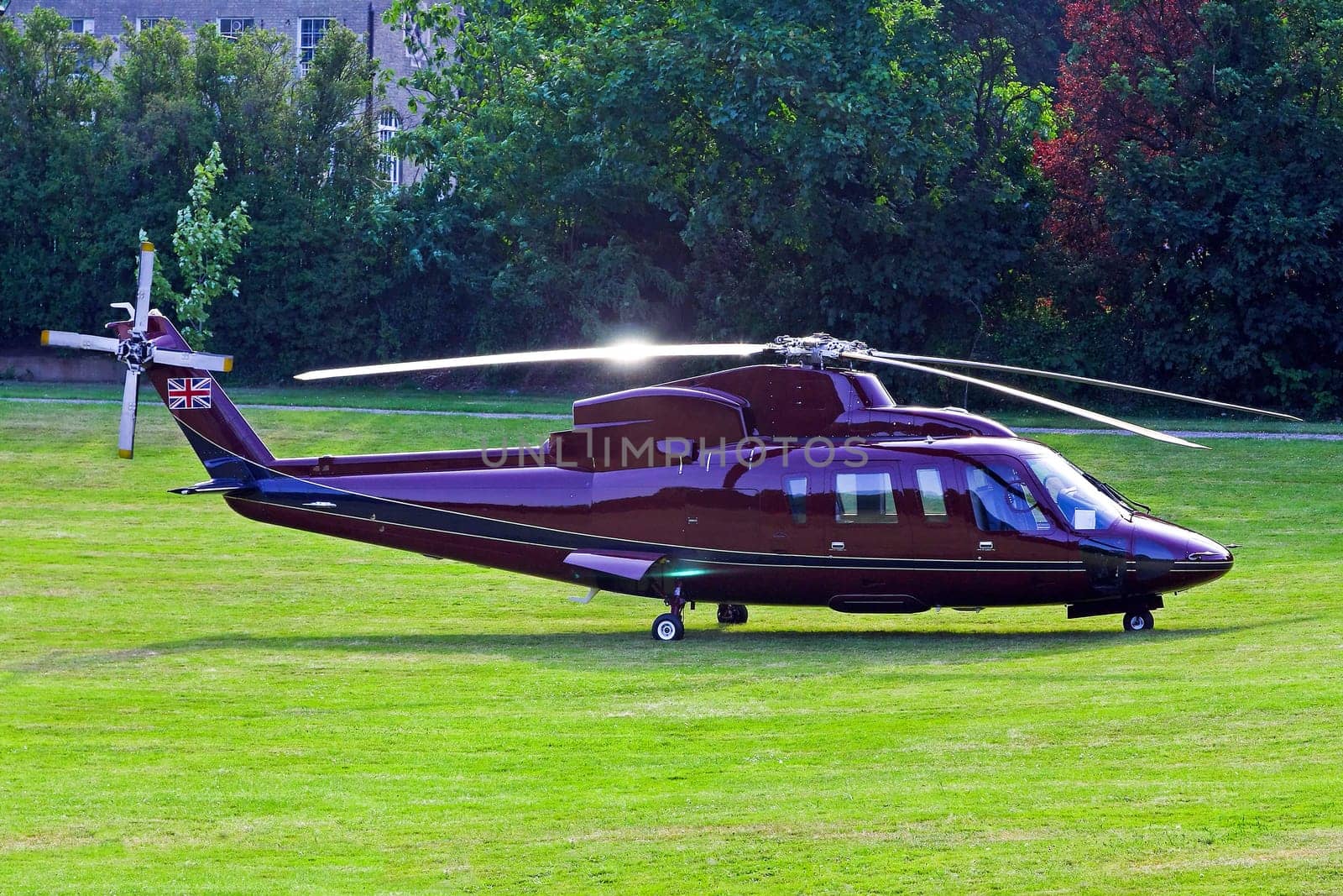 Purple helicopter craft parked at grass area.