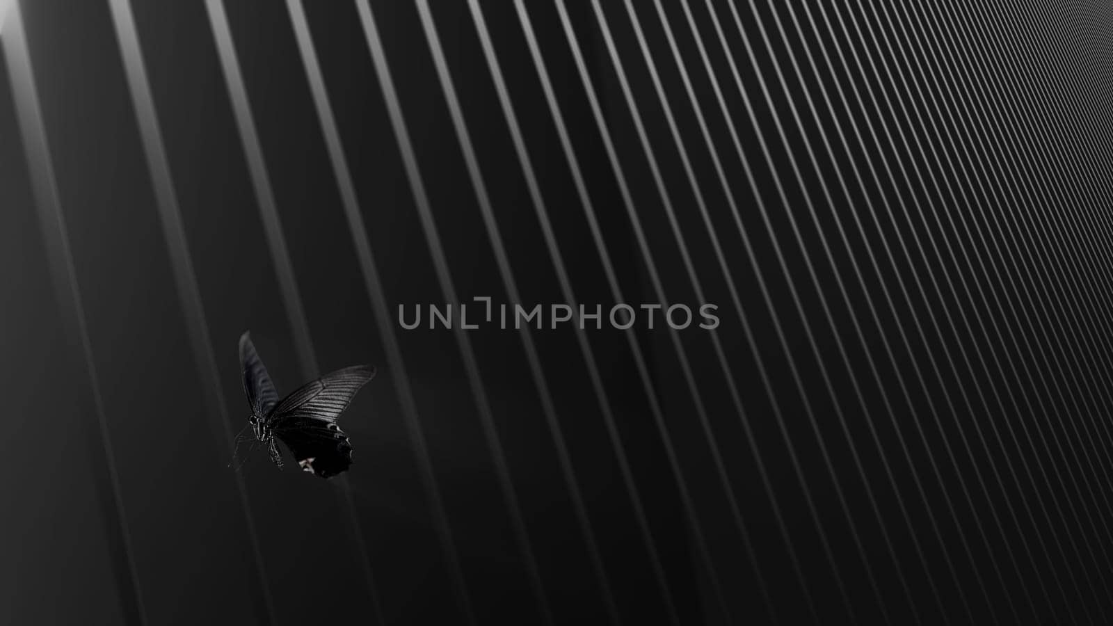 The 3d rendering of butterfly on the abstrate line background try to escape
