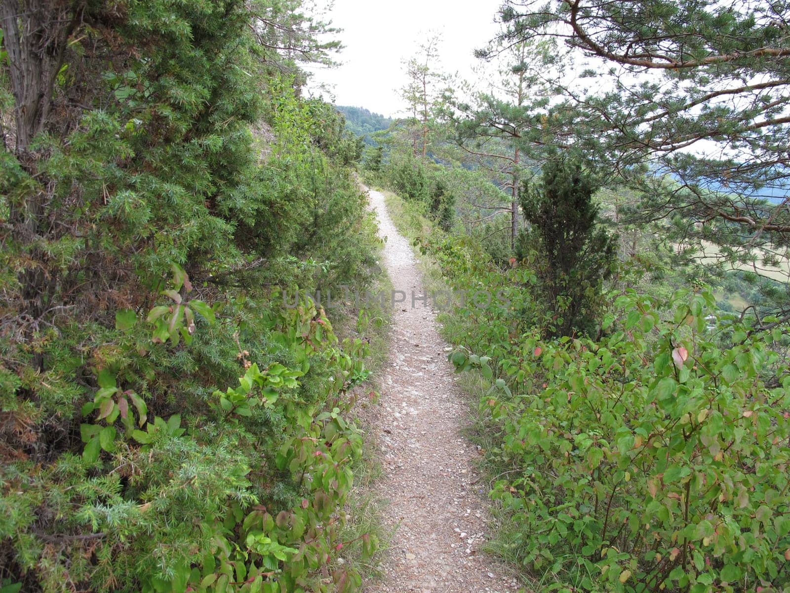 Hiking trail on the Pfaffenberg, Jena, Thuringia, Germany, August 03, 2019