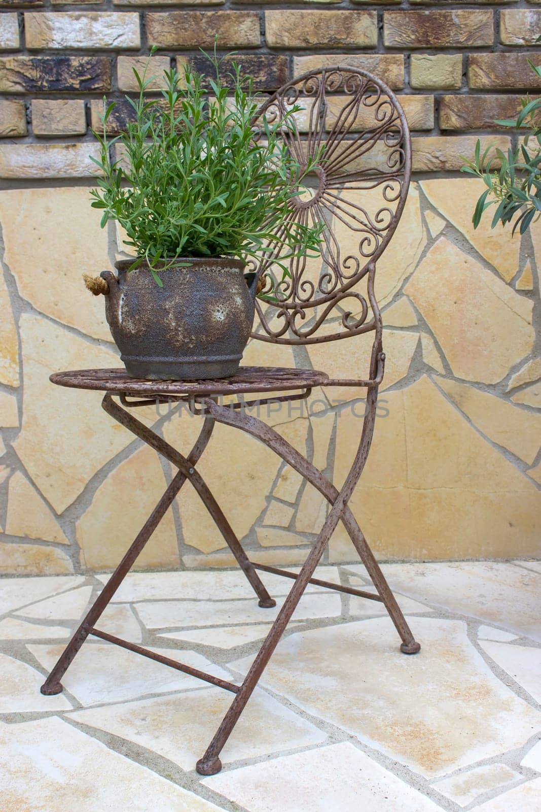 beautiful place in the garden in the mediterranean style, lavender in a pot on the table