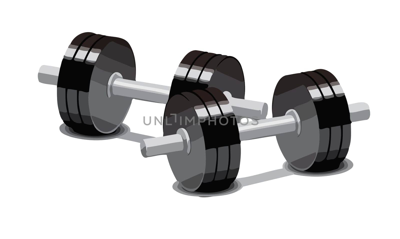 dumbbells gym muscle exercise workout equipment illustration