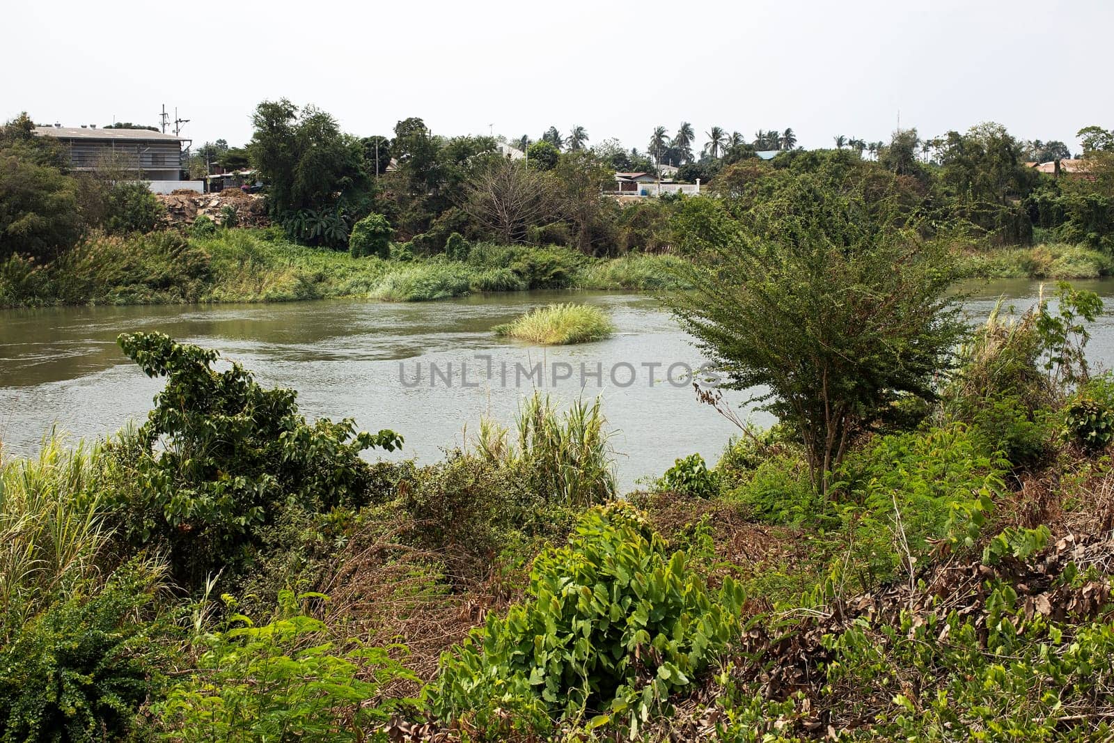 landscape with river in the field green grass water stream