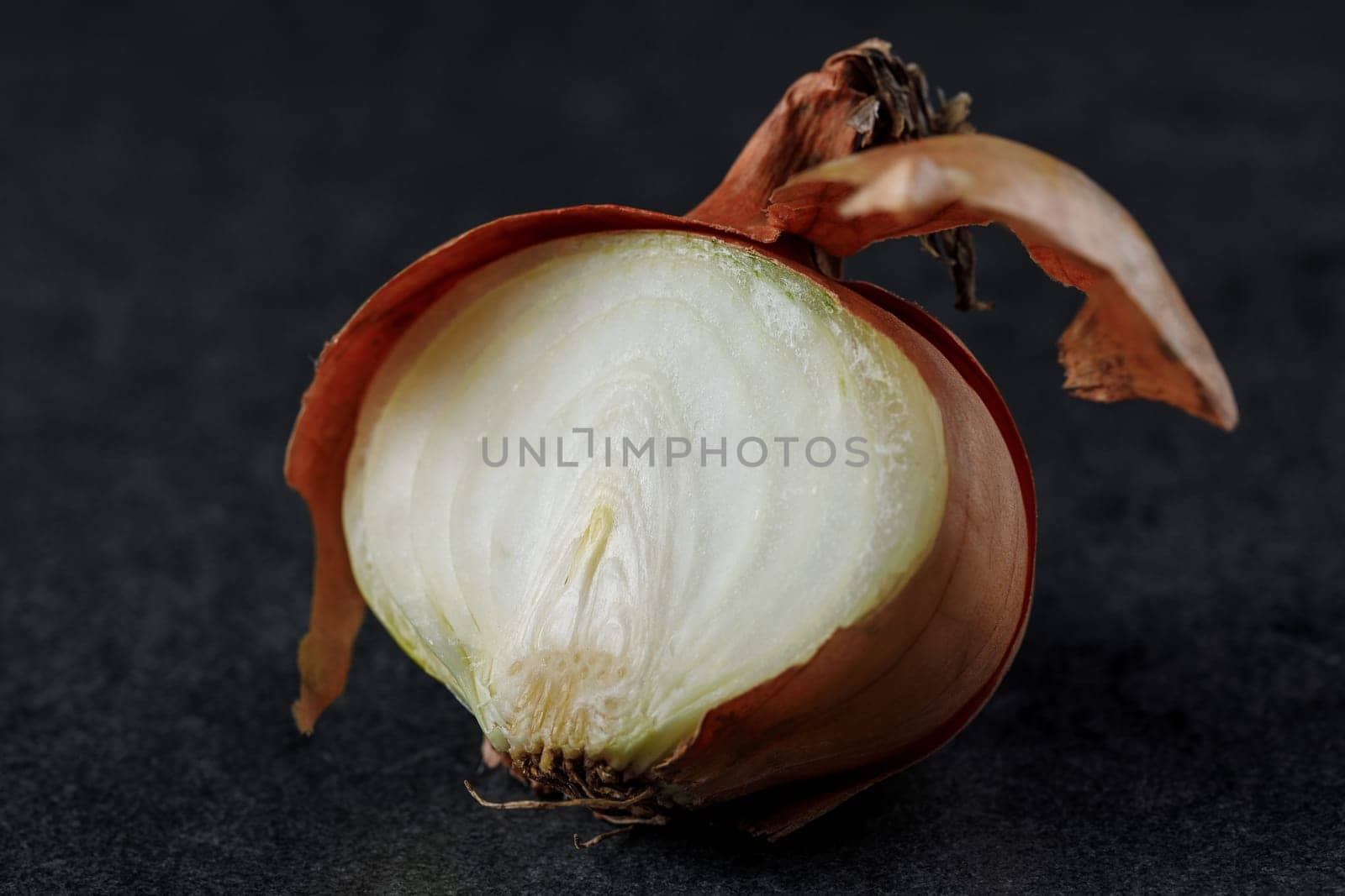 Onion half with husk on a dark background