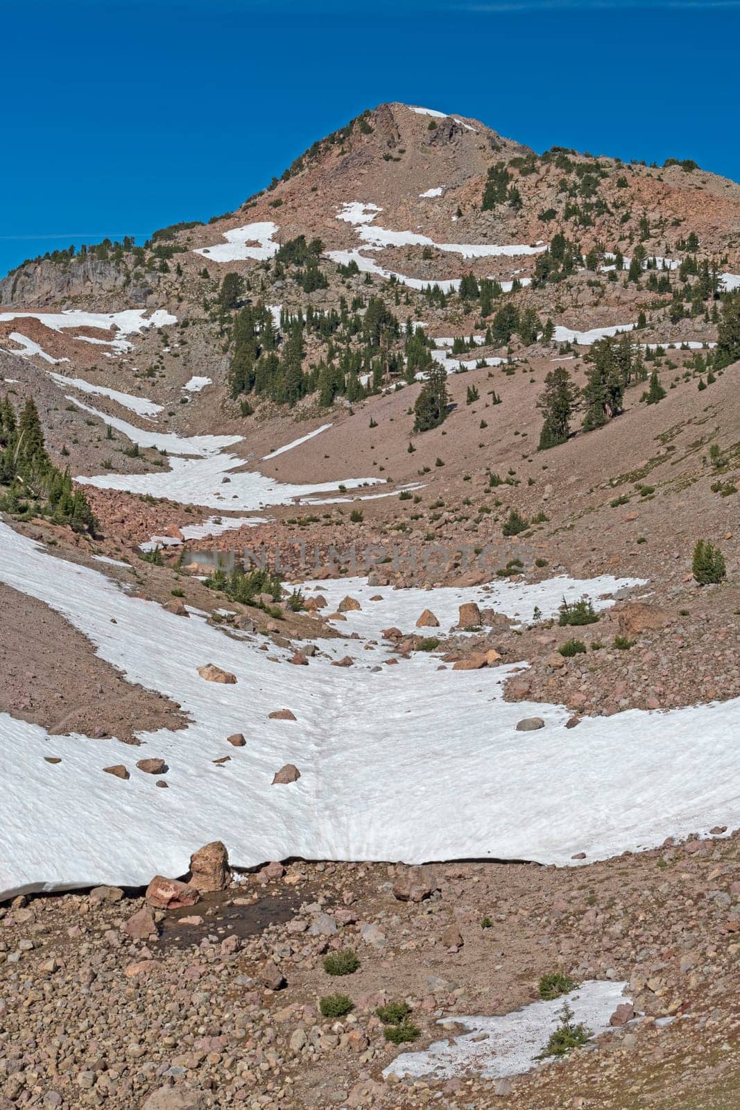 Barren Rocks and Struggling Trees on a Volcanic Landscape in Lassen Volcanic National Park in California