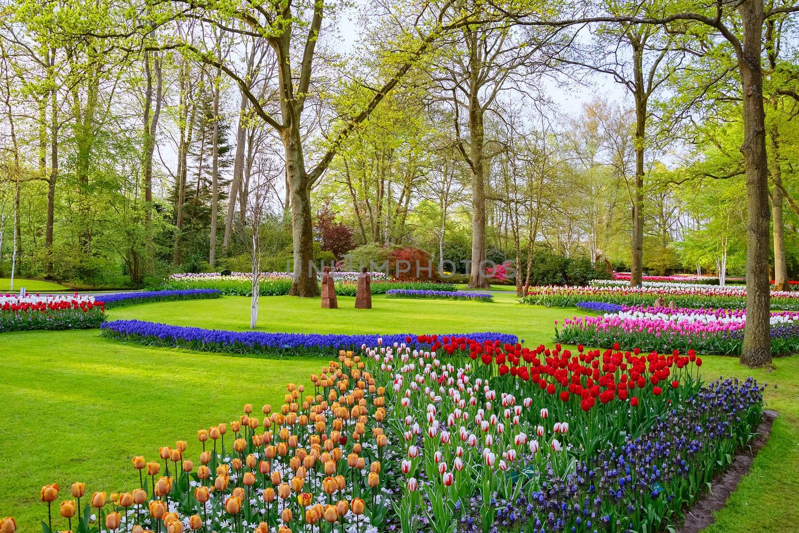 Spring in the park. Lisse, the Netherlands.