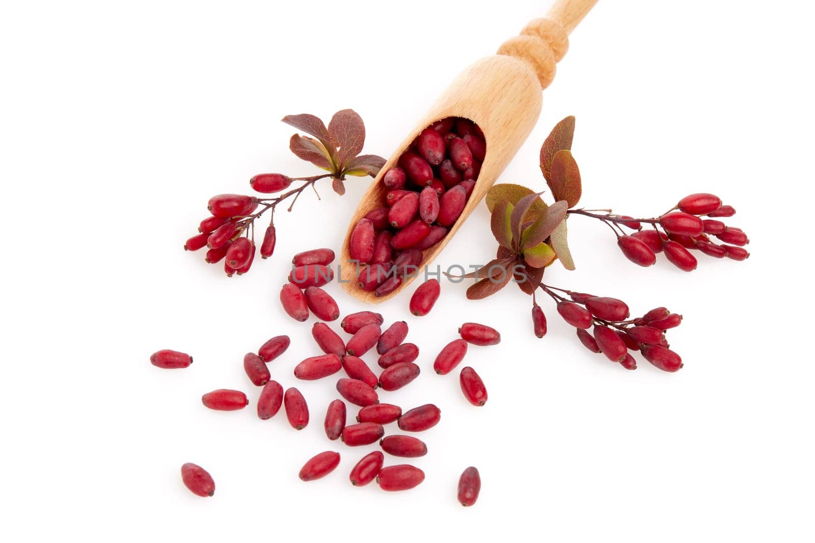 Wooden spoon with ripe red berries of barberry and branch of berberry isolated on white background. Top view