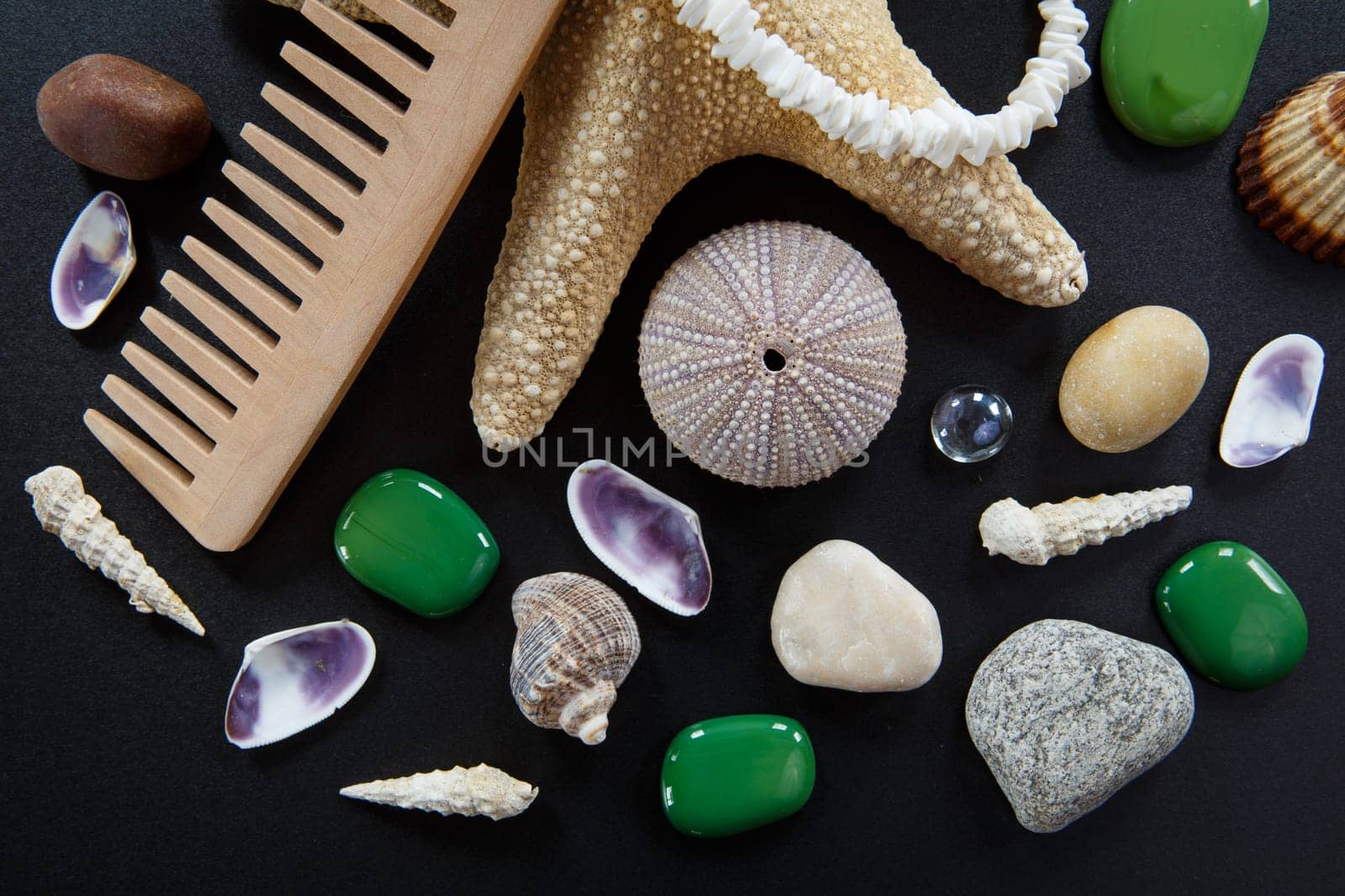 Background with different shells and sea five-pointed stars