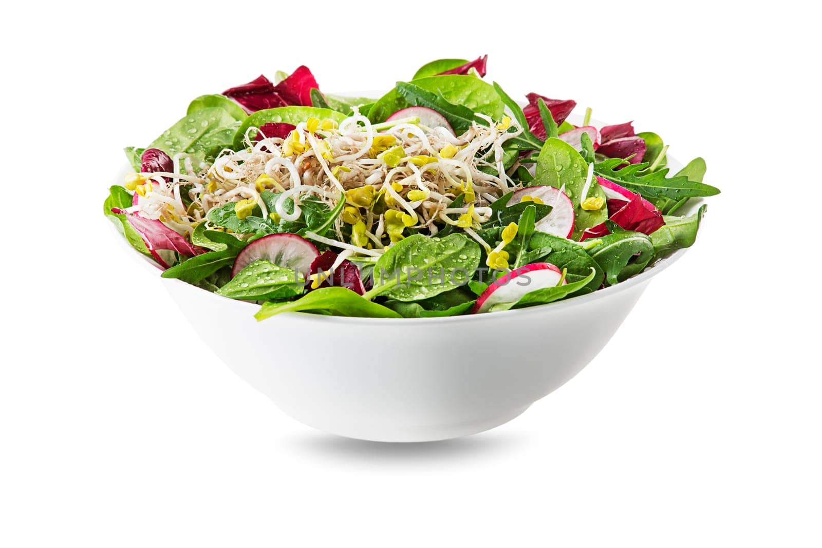 Healthy green salad meal with alfalfa sprouts isolated on white background