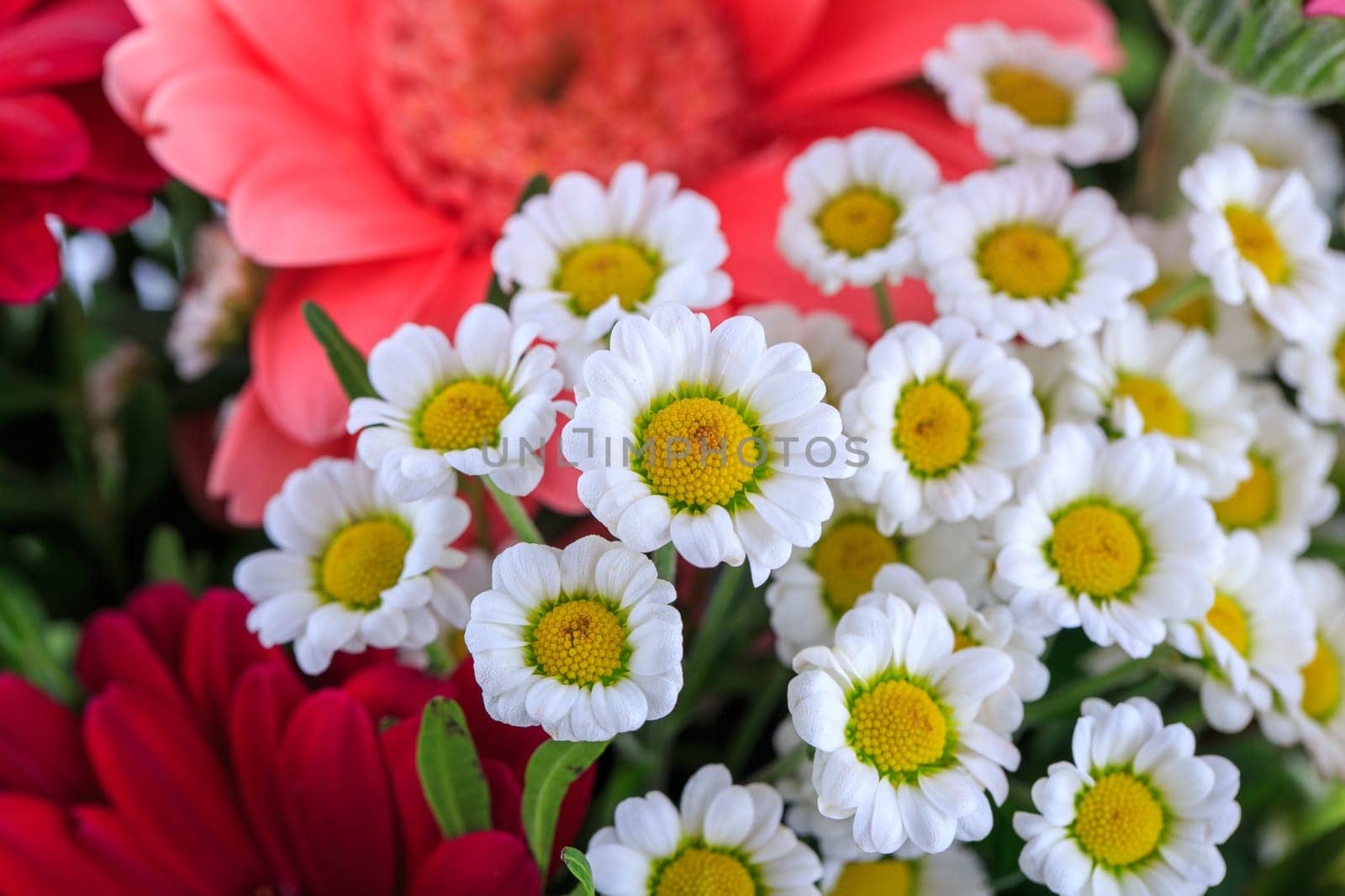 Nice bouquet isolated on white background