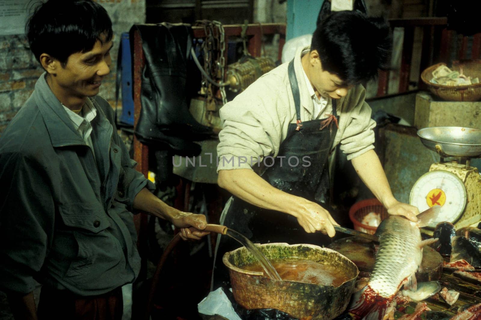 fresh fish at the seafood and animal Market in the city of Guangzhou in the province of Guangdong in china in east asia.   China, Guangzhou, April, 2000