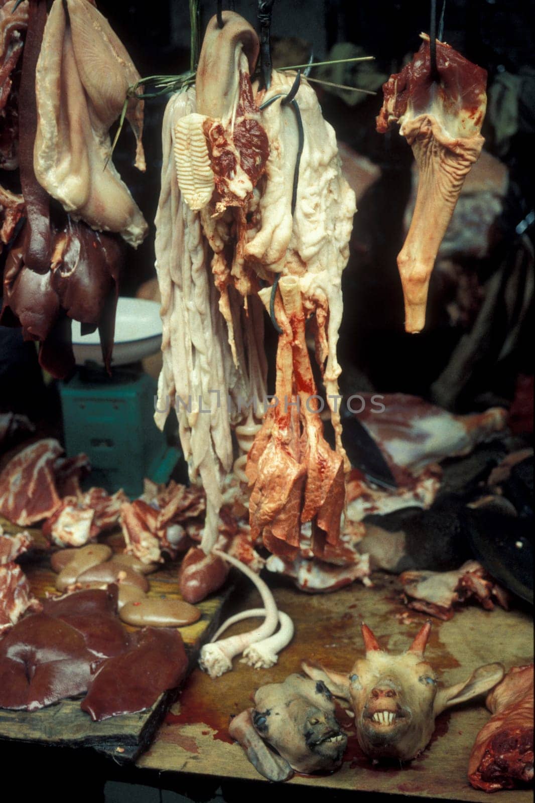 fresh meat at the meat and animal Market in the city of Guangzhou in the province of Guangdong in china in east asia.   China, Guangzhou, April, 2000
