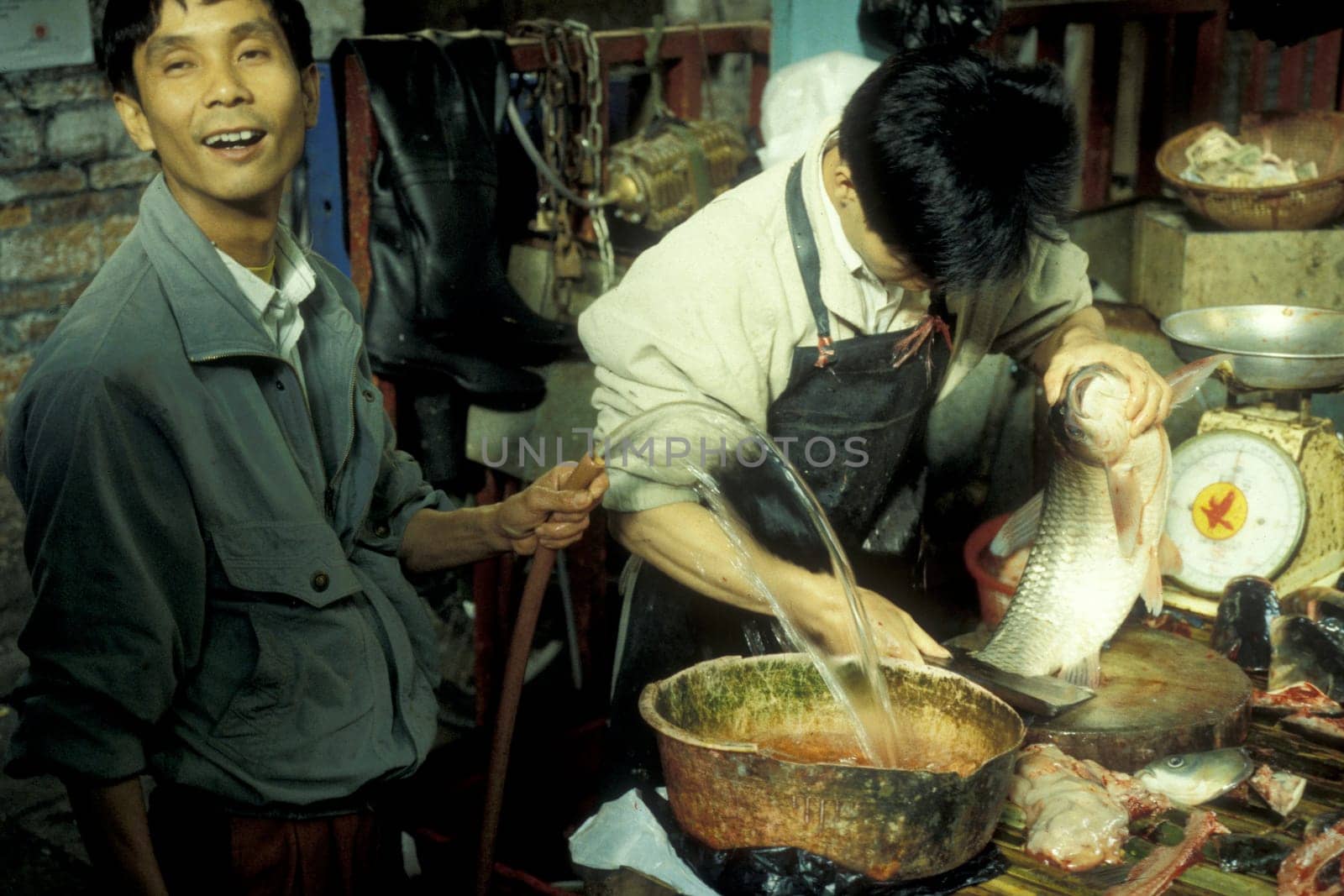 fresh fish at the seafood and animal Market in the city of Guangzhou in the province of Guangdong in china in east asia.   China, Guangzhou, April, 2000