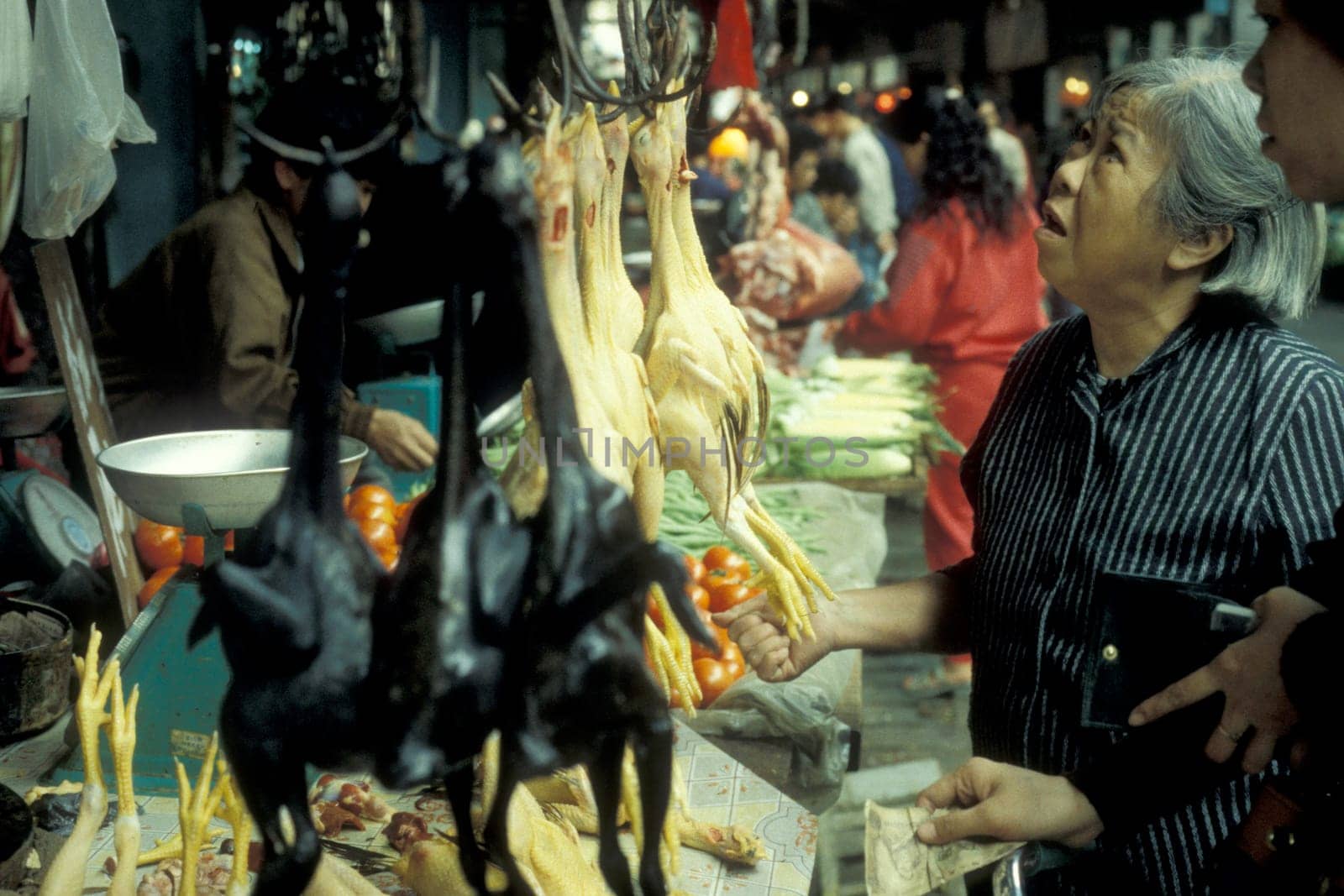 fresh meat at the meat and animal Market in the city of Guangzhou in the province of Guangdong in china in east asia.   China, Guangzhou, April, 2000