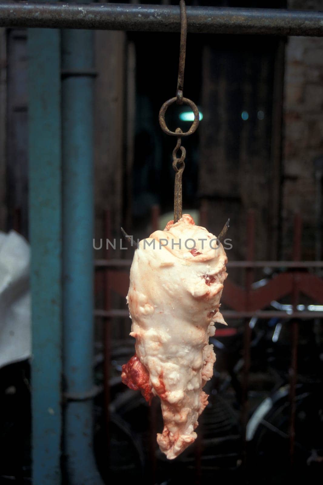 fresh meat at the meat and animal Market in the city of Guangzhou in the province of Guangdong in china in east asia.   China, Guangzhou, April, 2000