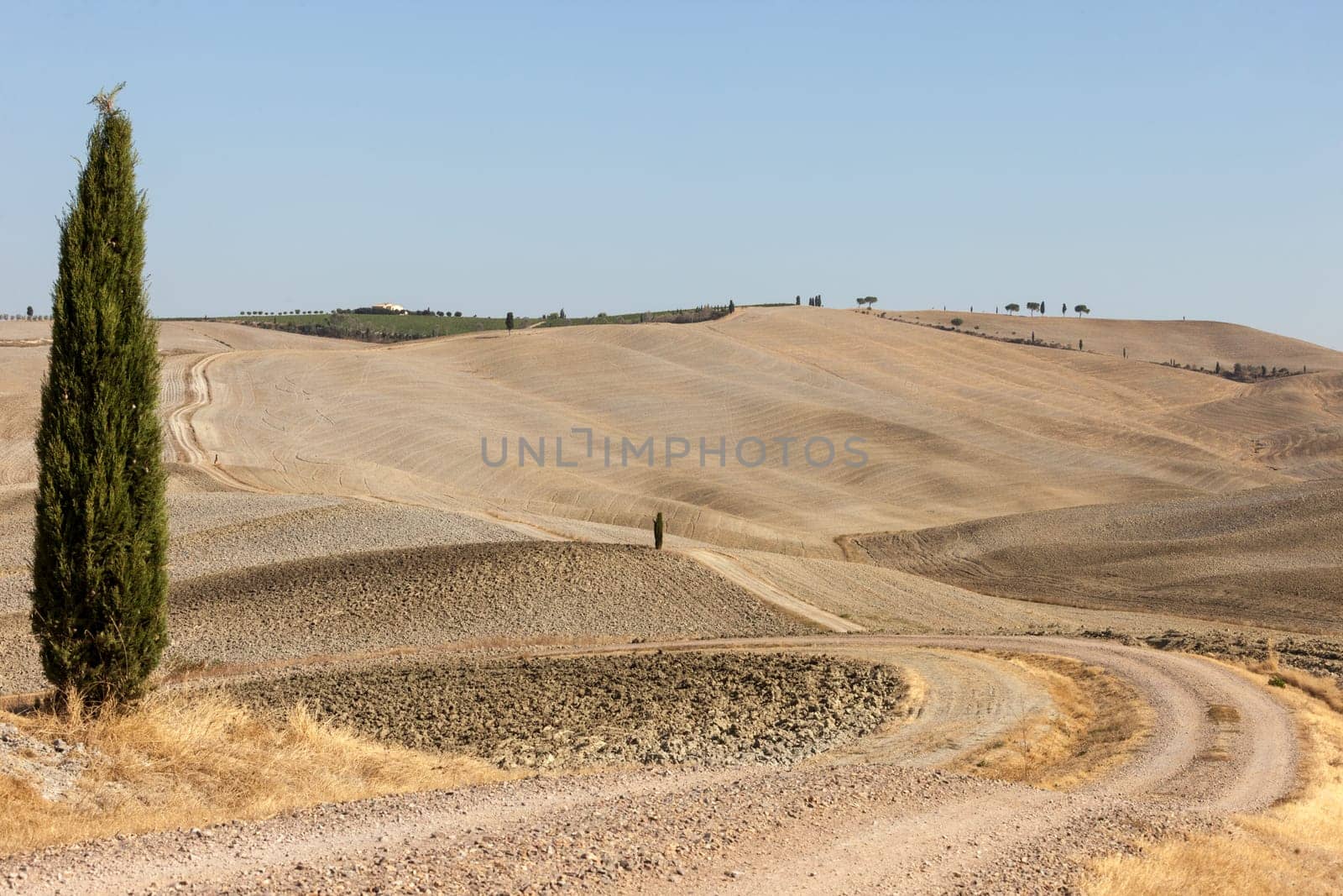 The rural landscape of the  Tuscany. Italy
