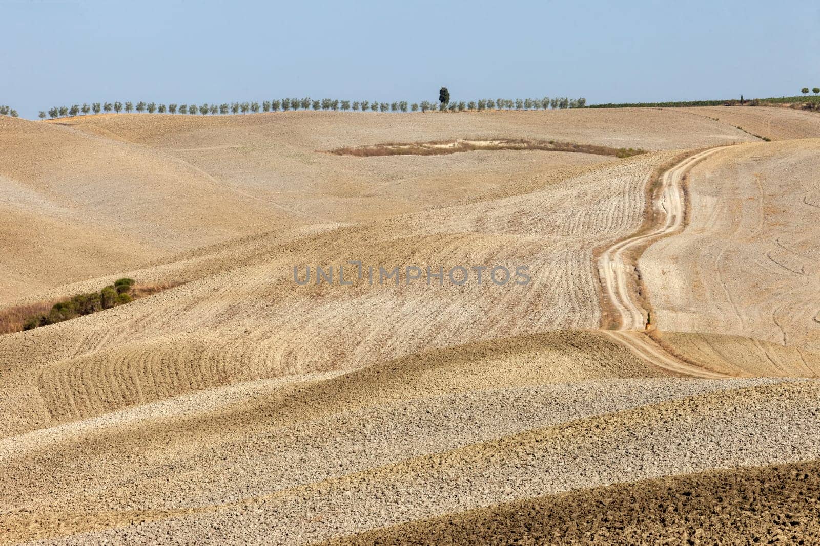 The rural landscape of the  Tuscany. Italy
