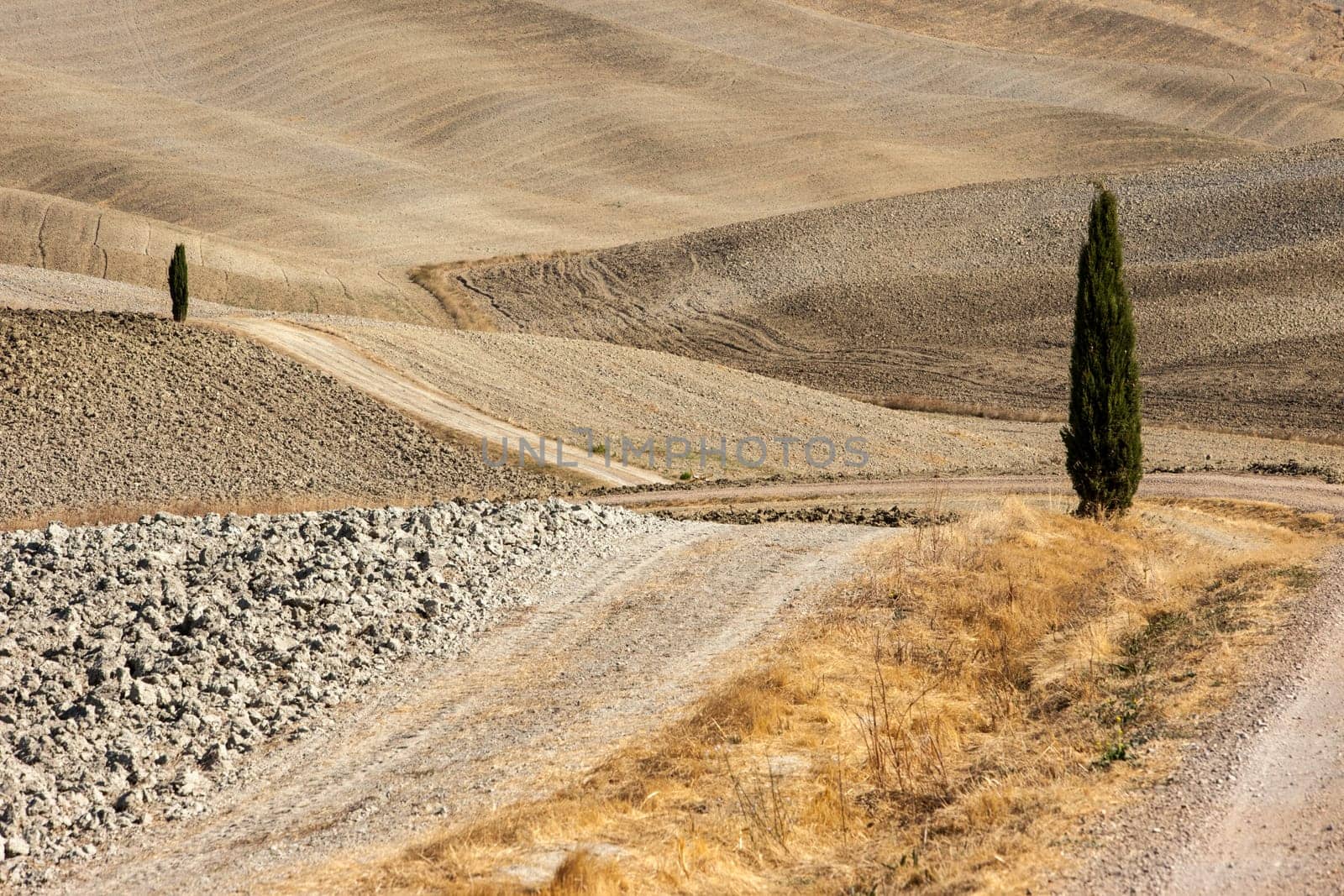 The rural landscape of the  Tuscany. Italy