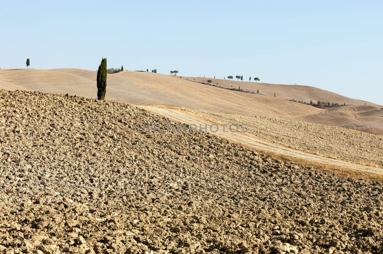 The rural landscape of the  Tuscany. Italy