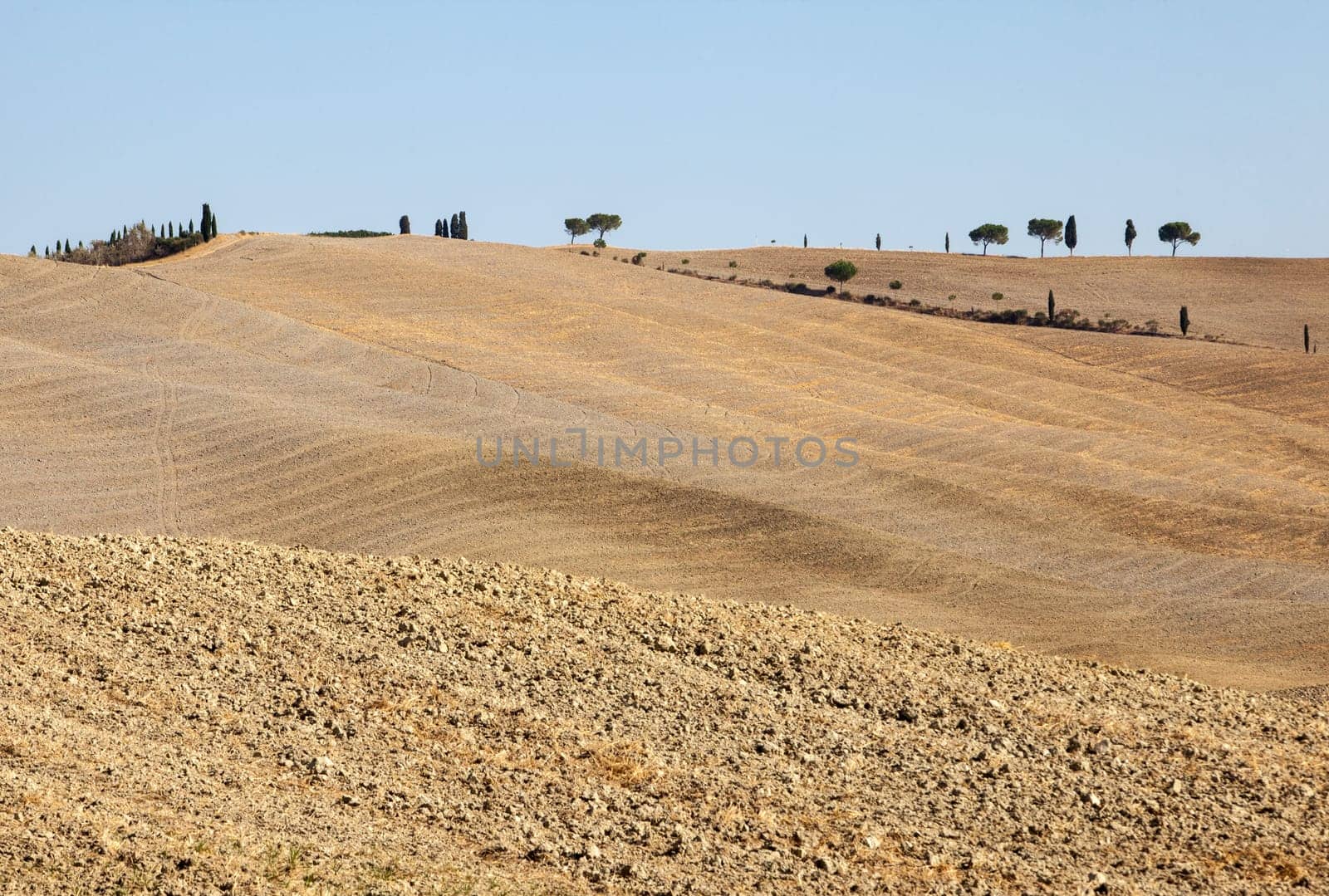 The rural landscape of the  Tuscany. Italy