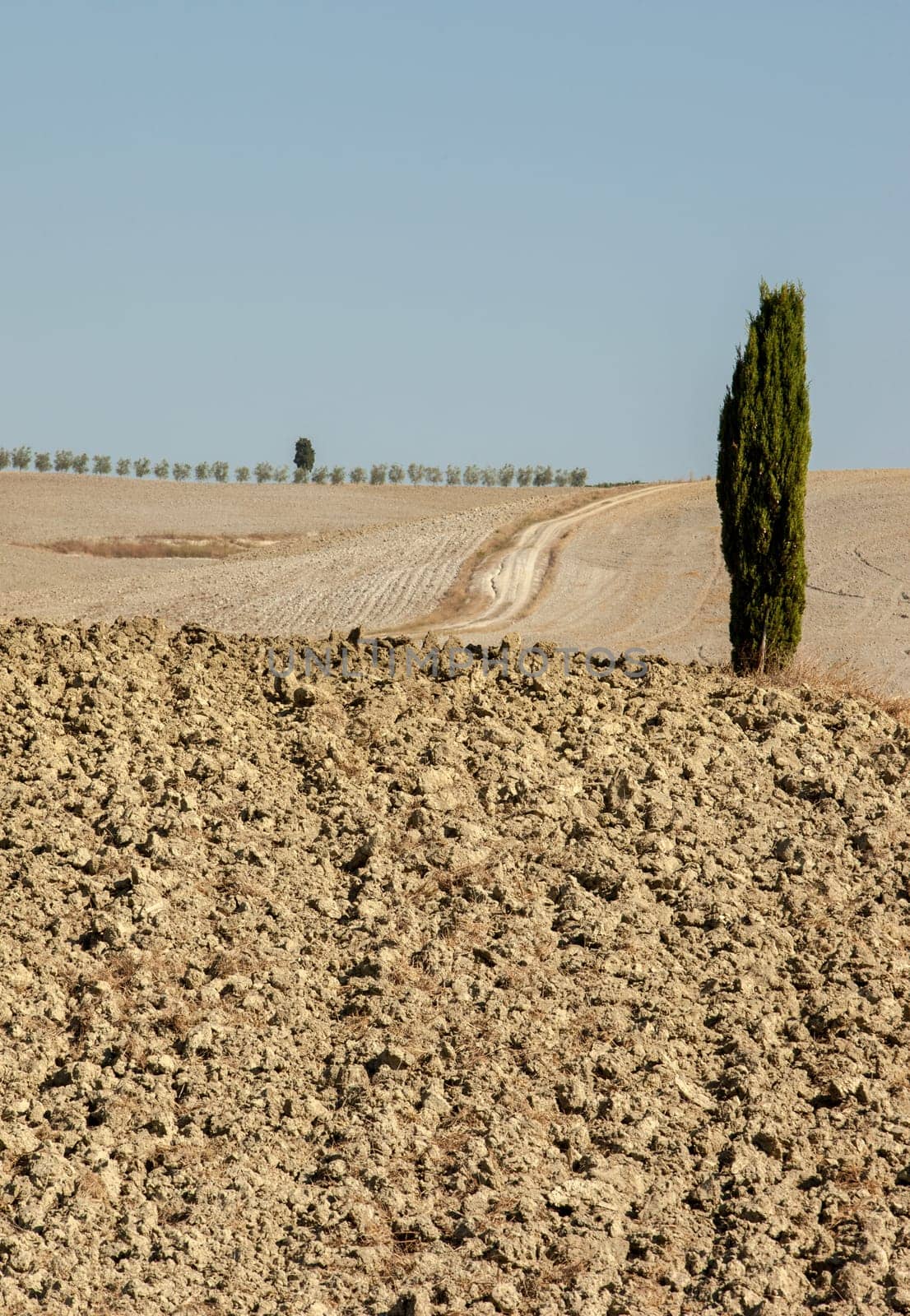 The rural landscape of the  Tuscany. Italy