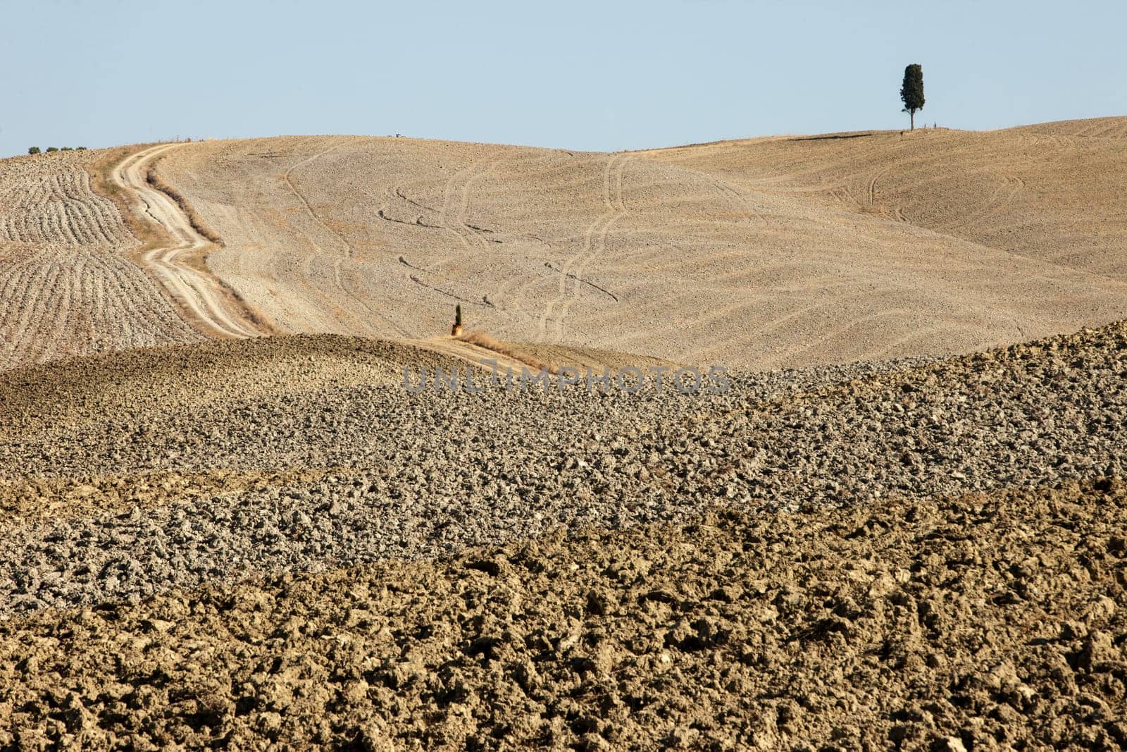 The rural landscape of the  Tuscany. Italy