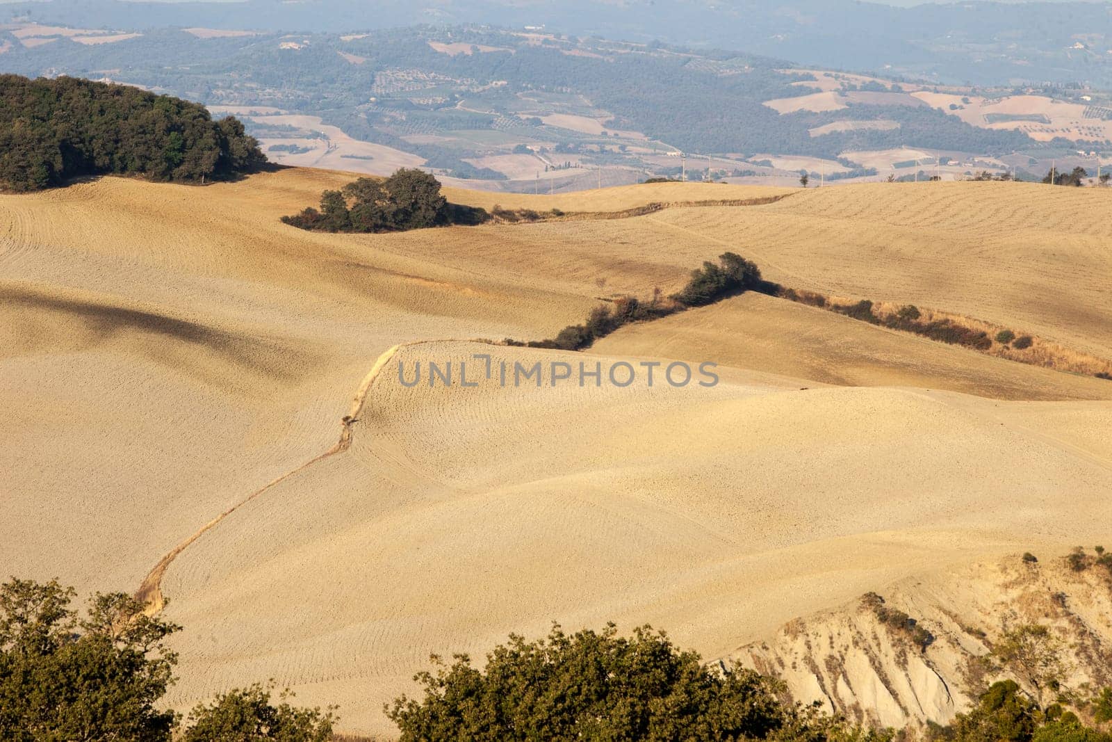 The rural landscape of the  Tuscany. Italy