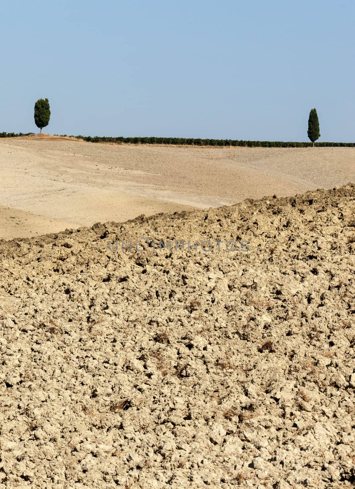 The rural landscape of the  Tuscany. Italy