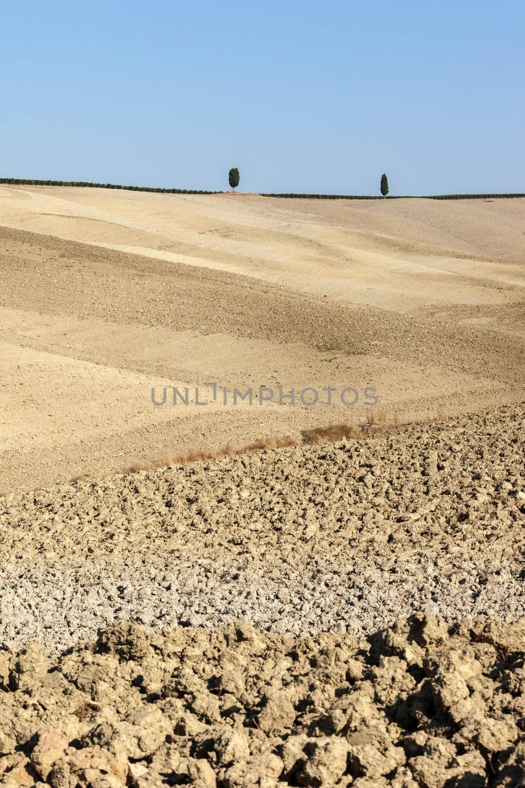 The rural landscape of the  Tuscany. Italy