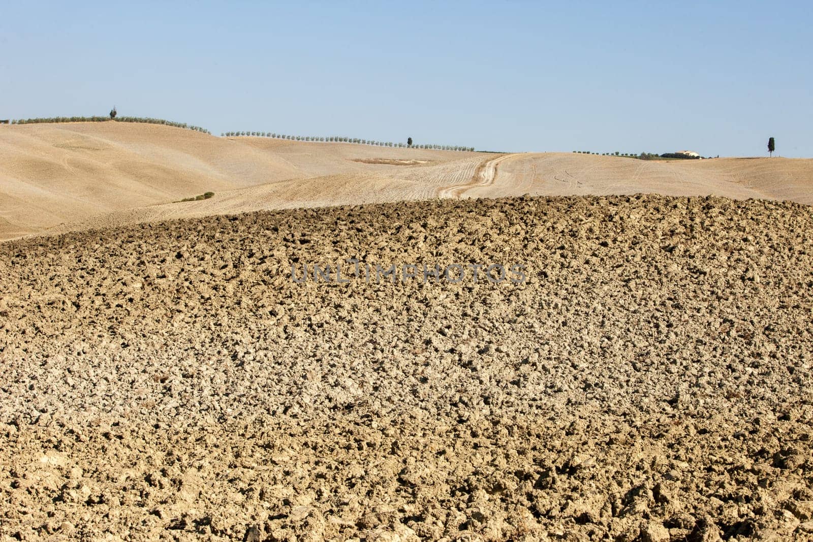 The rural landscape of the  Tuscany. Italy