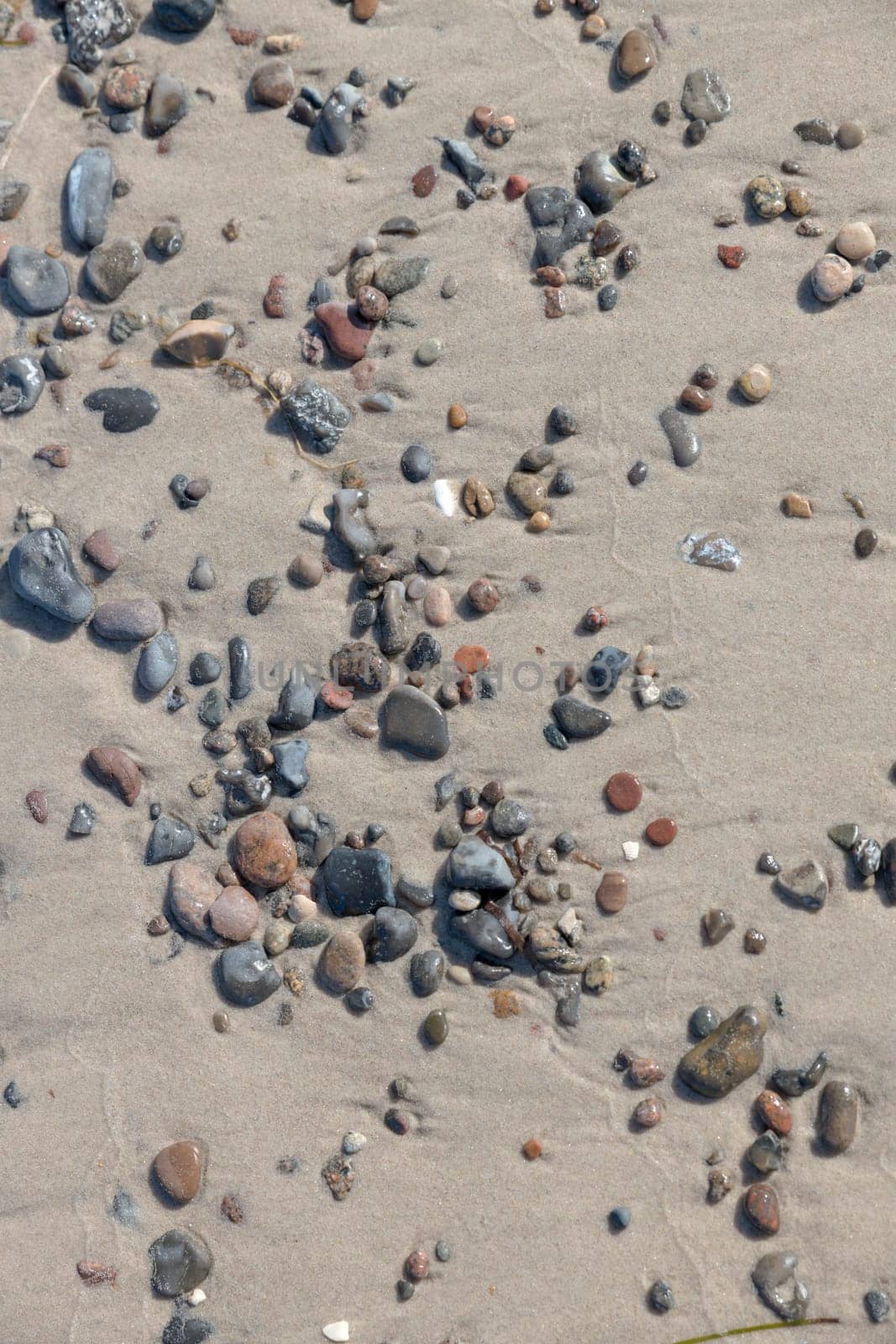 Sandy bottom on the seashore with pebbles and shells as a background