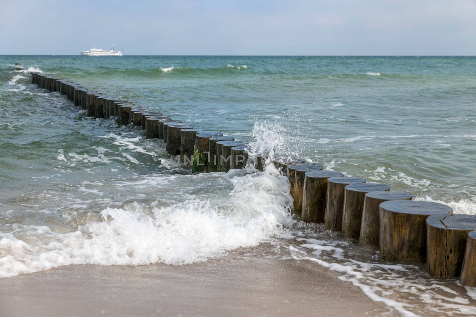 Waves washed around logs on the Baltic coast in the sand as a breakwater