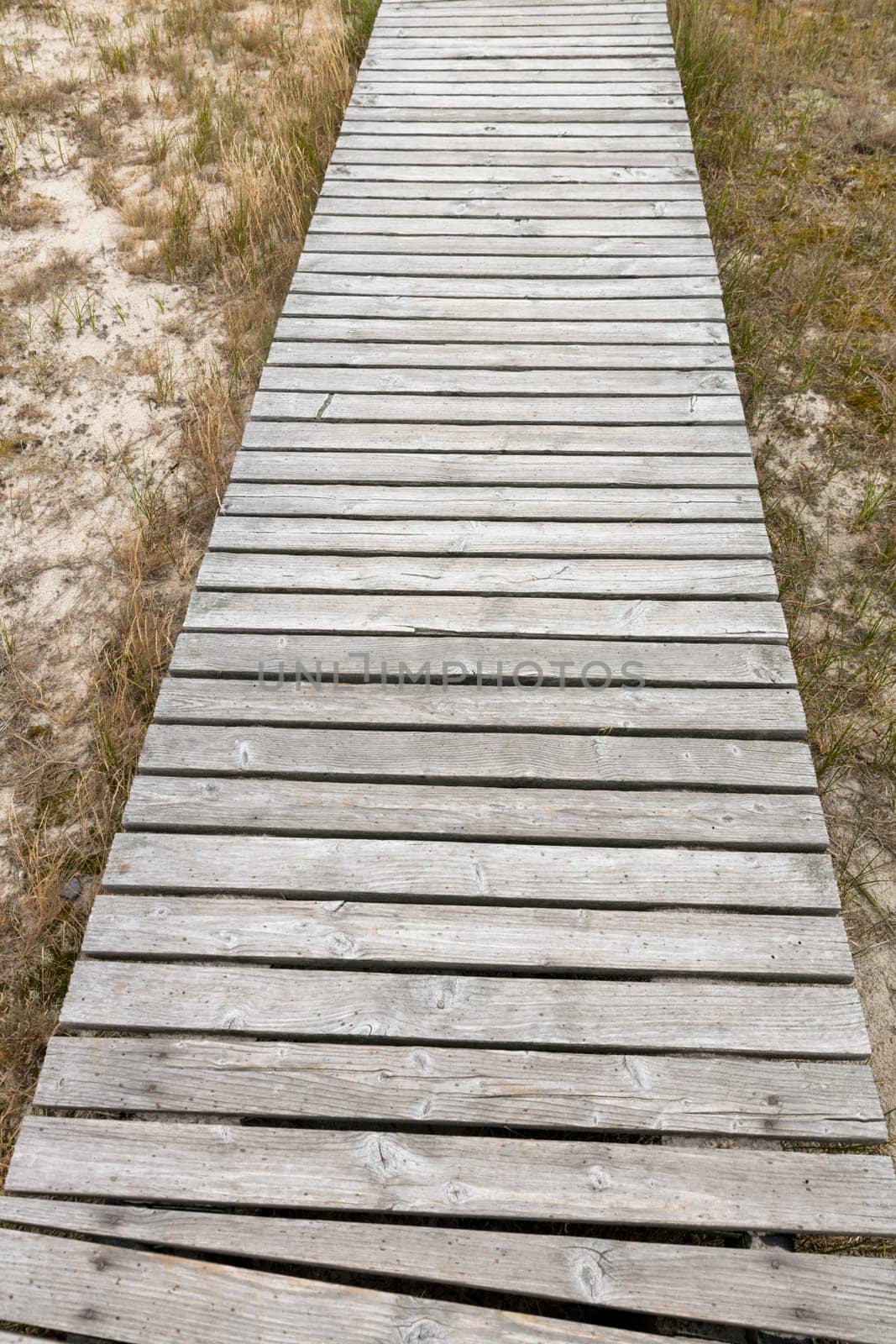 Wood jetty through dunes in the nature reserve on the Baltic coast with grass