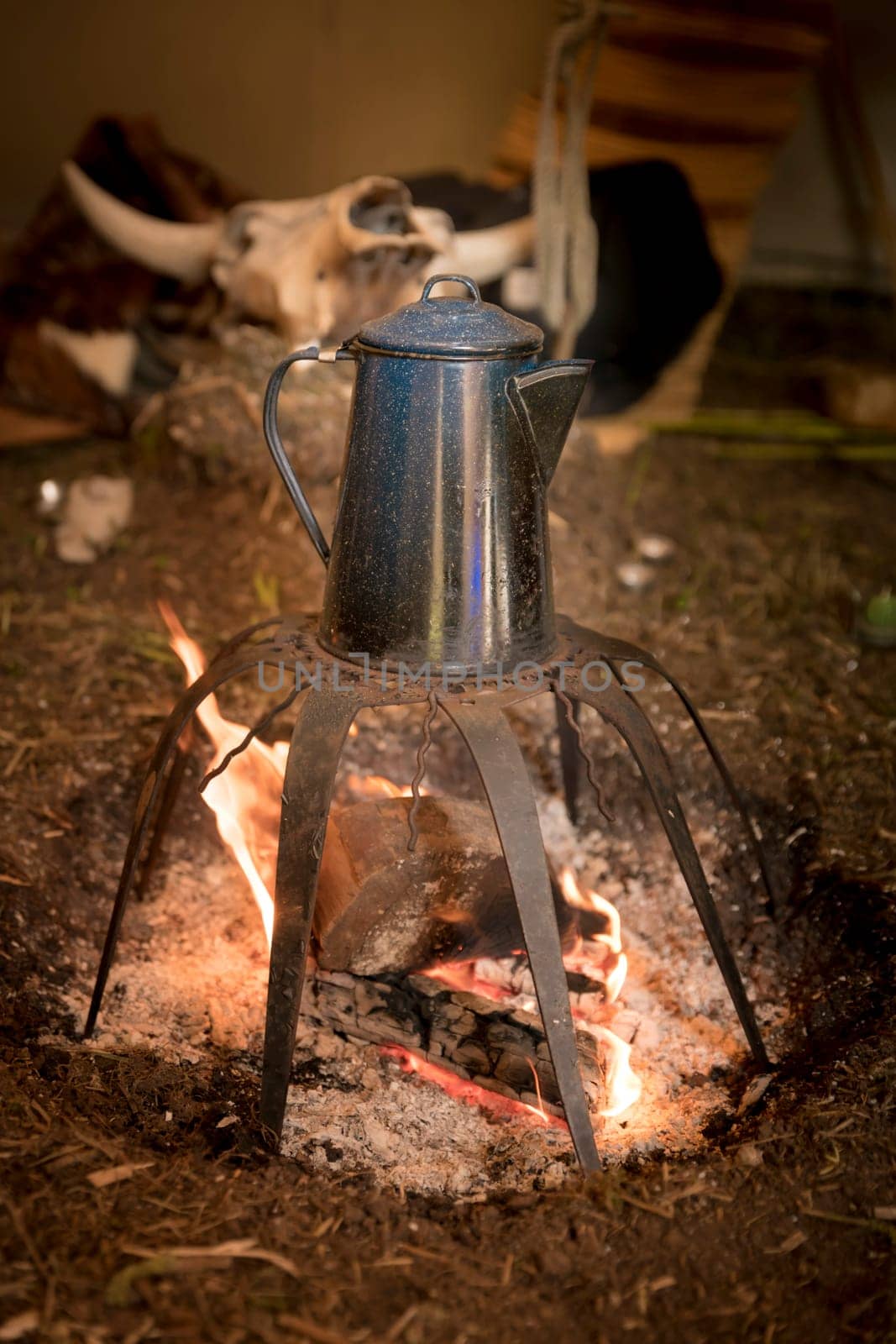 Old metal coffee pot stands over a campfire on a rack with cow skull