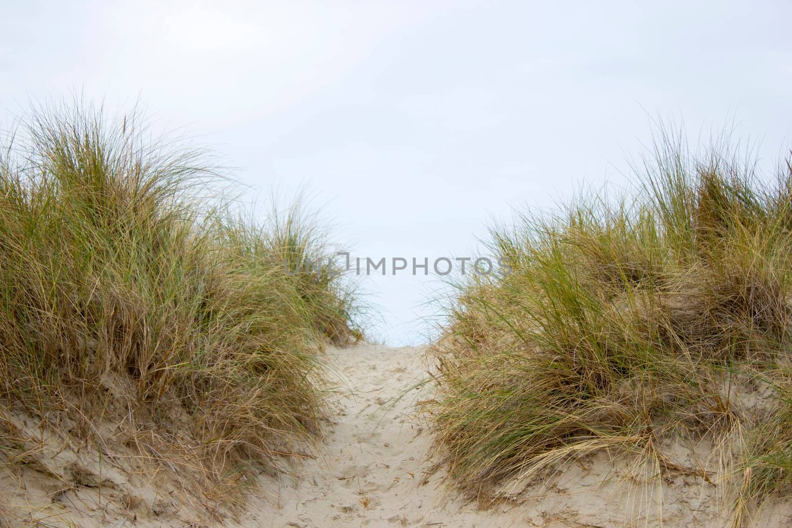Path trough the dunes, Renesse, Zeeland, the Netherlands