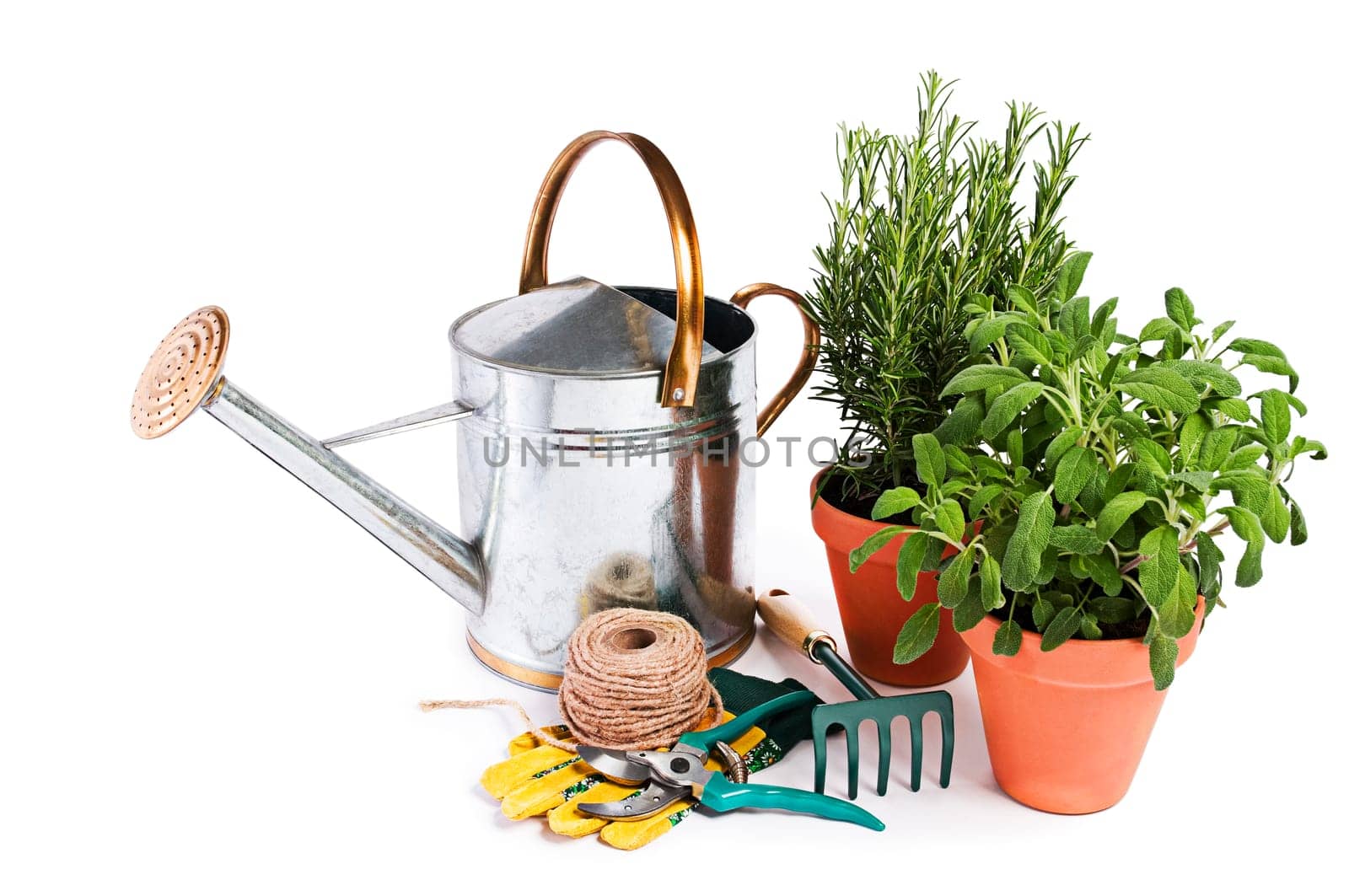 Gardening tools and spices plants isolated on white