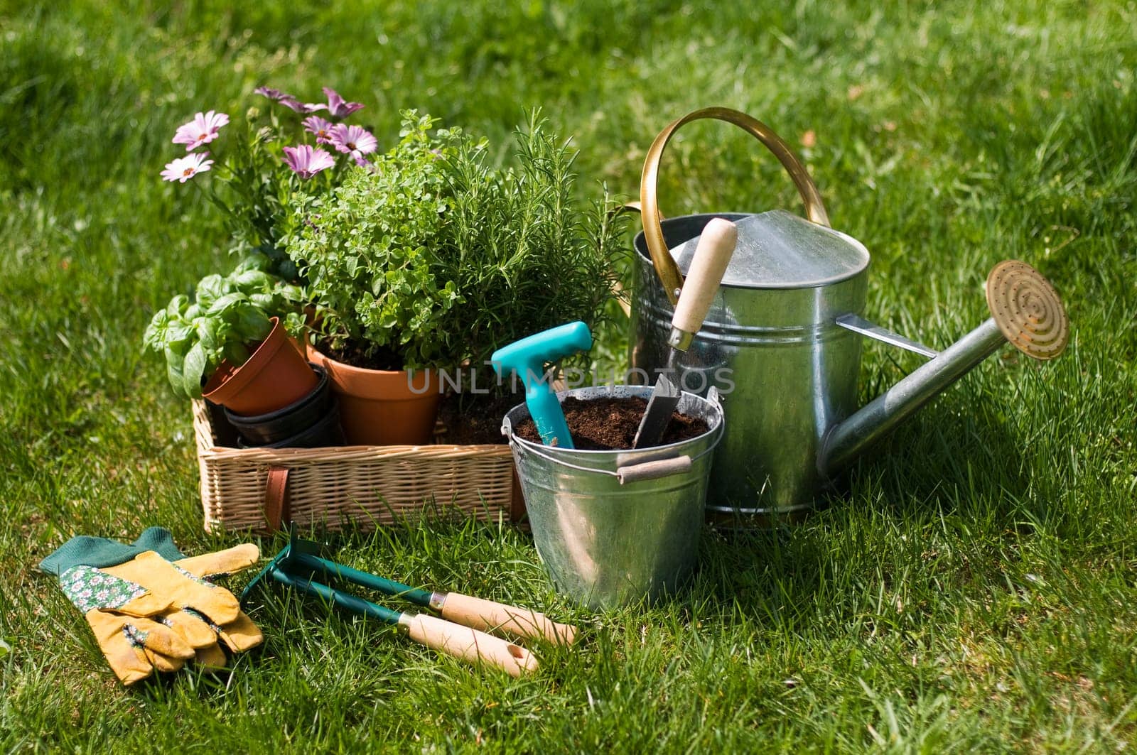 Gardening tools and plants in the garden background. Gardening - Set Of Tools For Gardener And Flowerpots