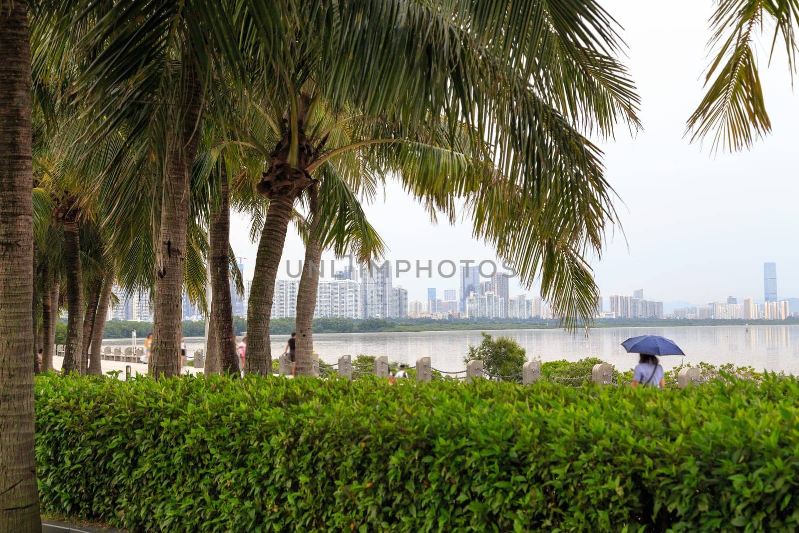 The promenade and park area in cloudy weather Shenzhen, China, Asia