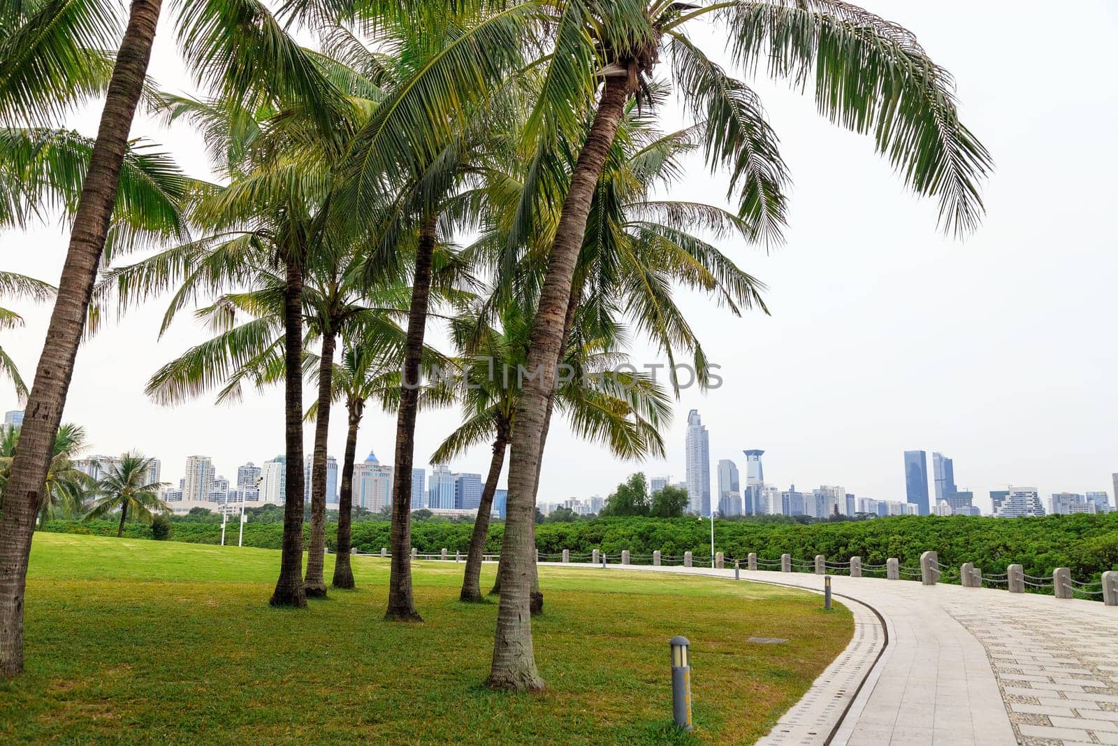 The promenade and park area in cloudy weather Shenzhen, China, Asia