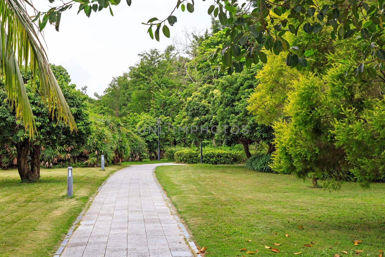Stone walkway in the park in cloudy weather, Shenzhen, China, Asia