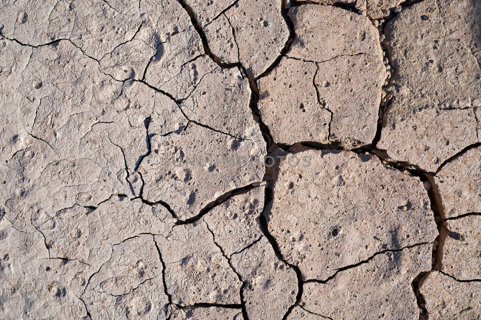 parched ground of a field in summer during a dry period