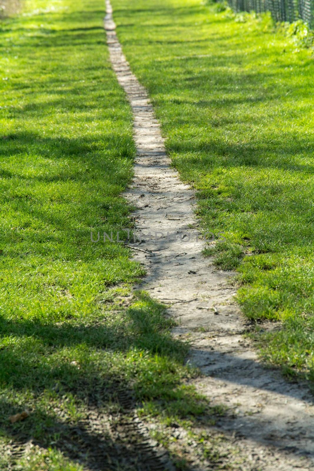 landscape - a little way with a fence