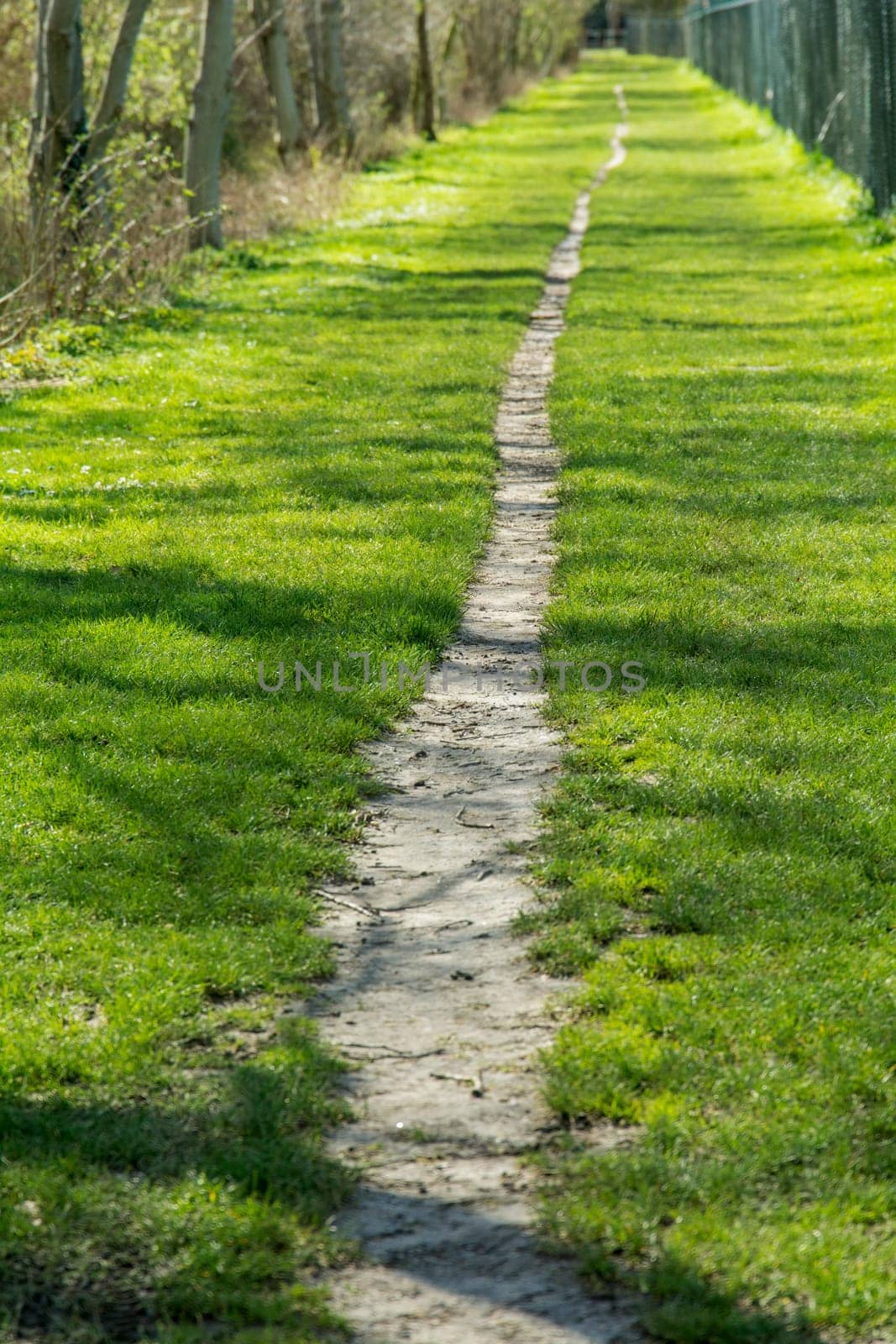 landscape - a little way with a fence