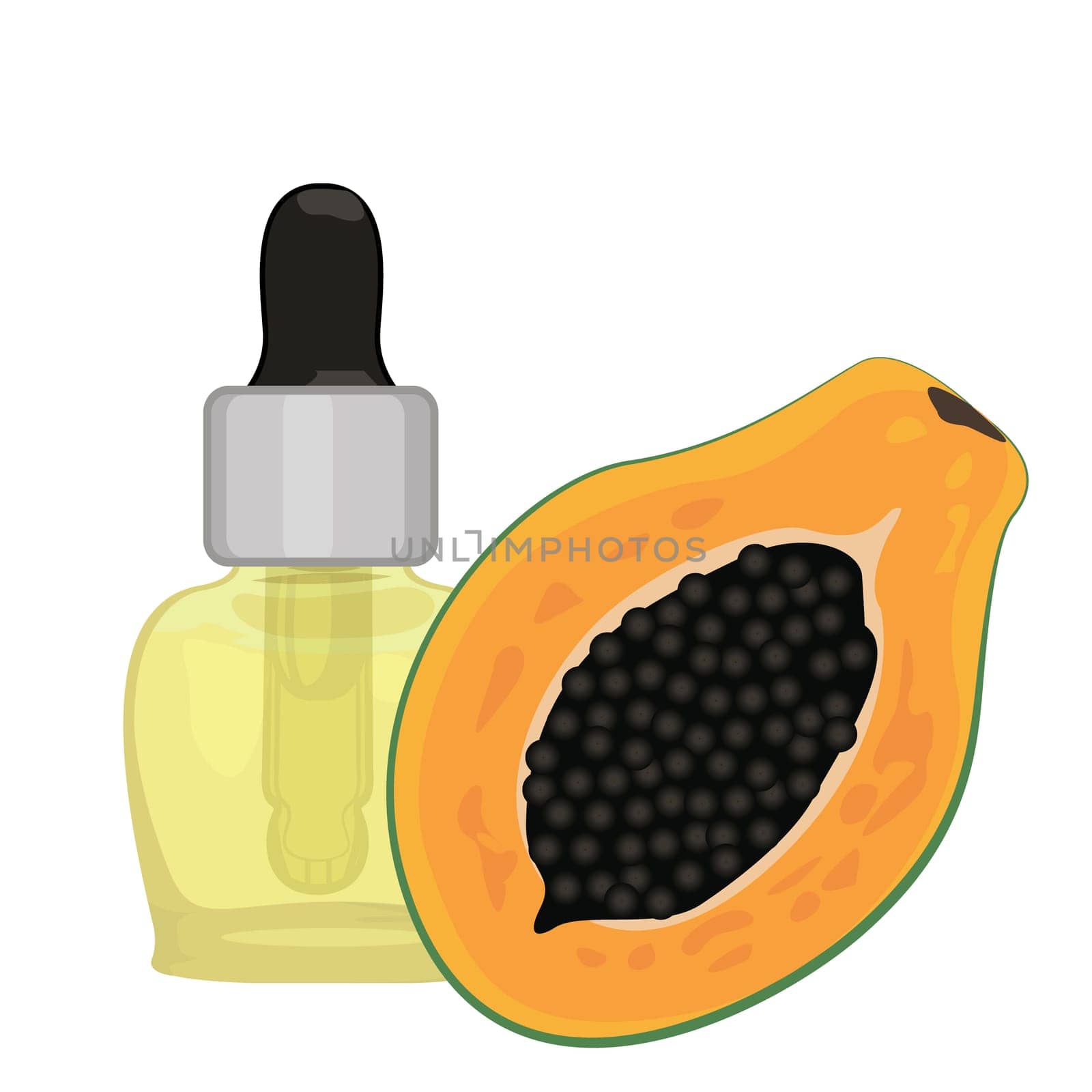 Papaya seed essential oil vector illustration isolated