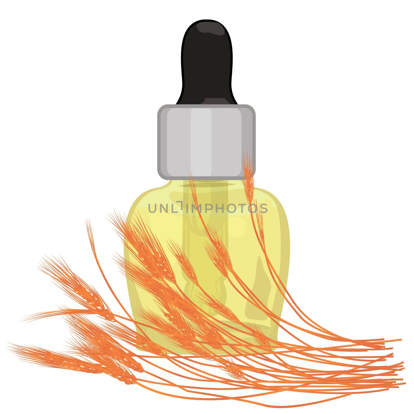 Wheat grain oil. Essential oils for health care