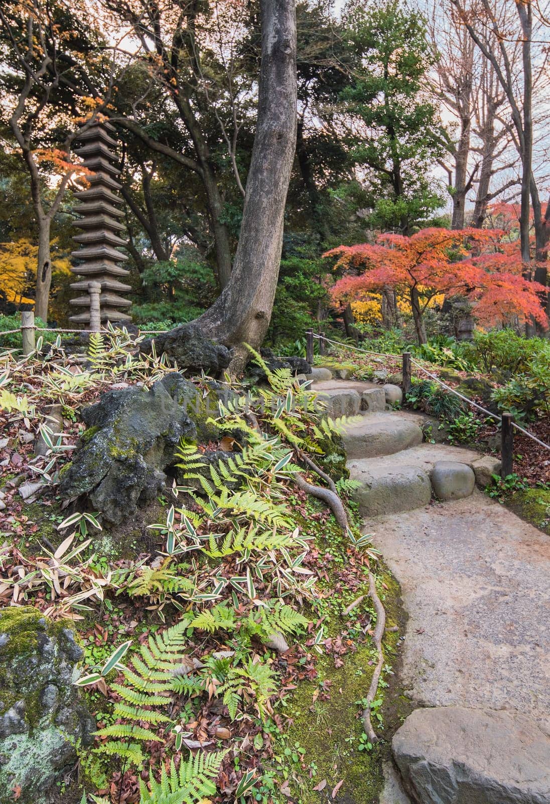 Tokyo Metropolitan Park KyuFurukawa japanese garden's stone stairs in the forest of maples and pines leading to a giant fifteen storied stone pagoda Kuyoto which symbolizes the thirteen Buddhist deitys prayed during the funeral calendar.