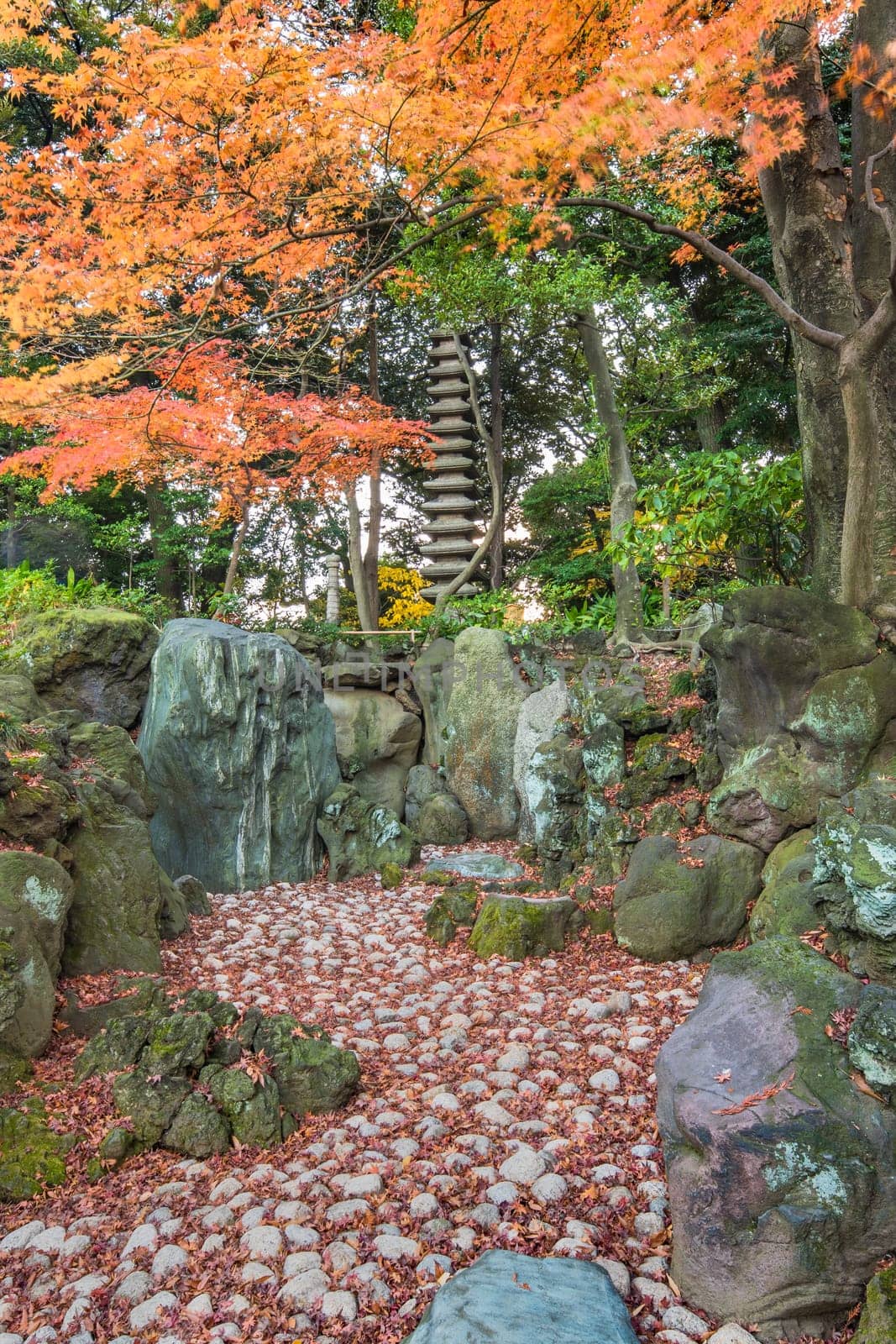 Tokyo Metropolitan Park KyuFurukawa's japanese garden's  dry waterfall and fifteen stories pagoda overlooking by red maple momiji leaves in autumn.