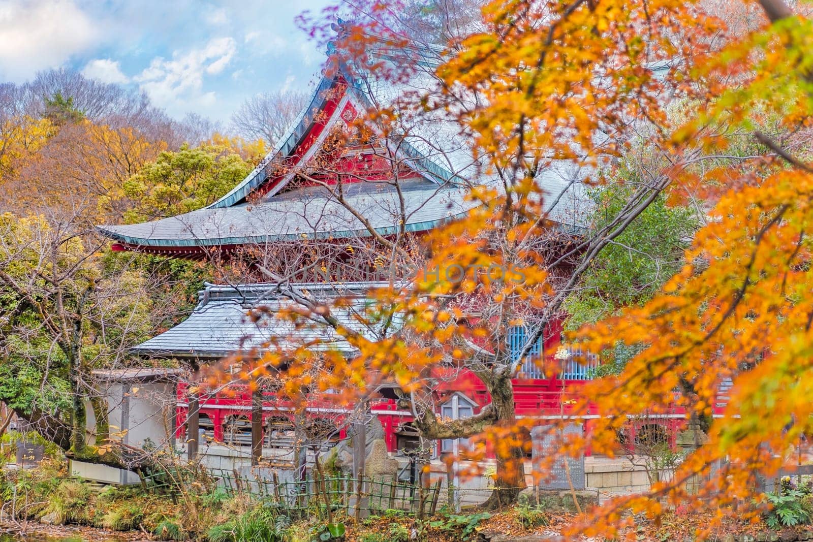 Autumn foliage overlooking a japanese temple Benzaiten in the forest parc of Inokashira in Kichijoji city